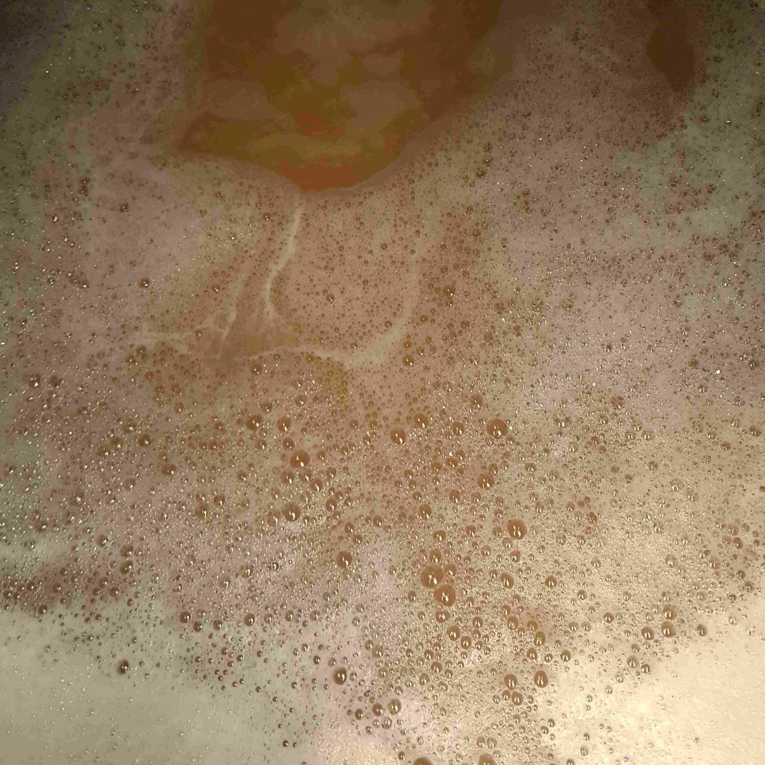fermenting wash