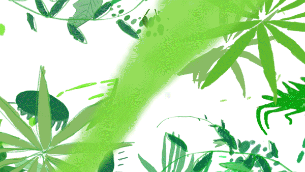 2.gif