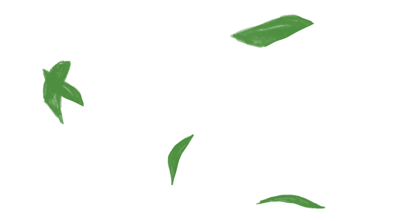 4.gif