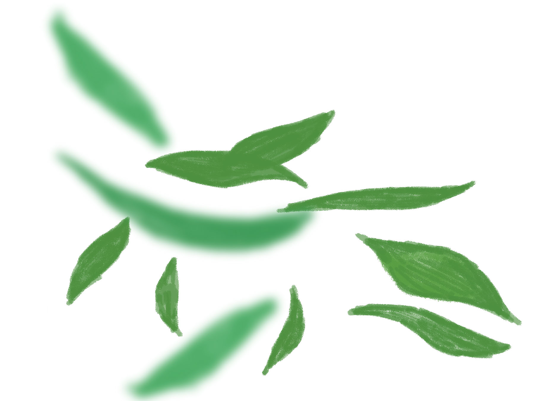 folhas.jpg