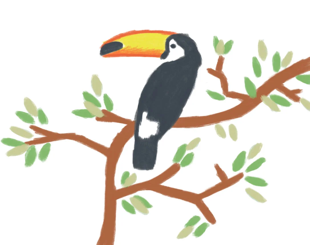 contemplar_a_natureza.jpg