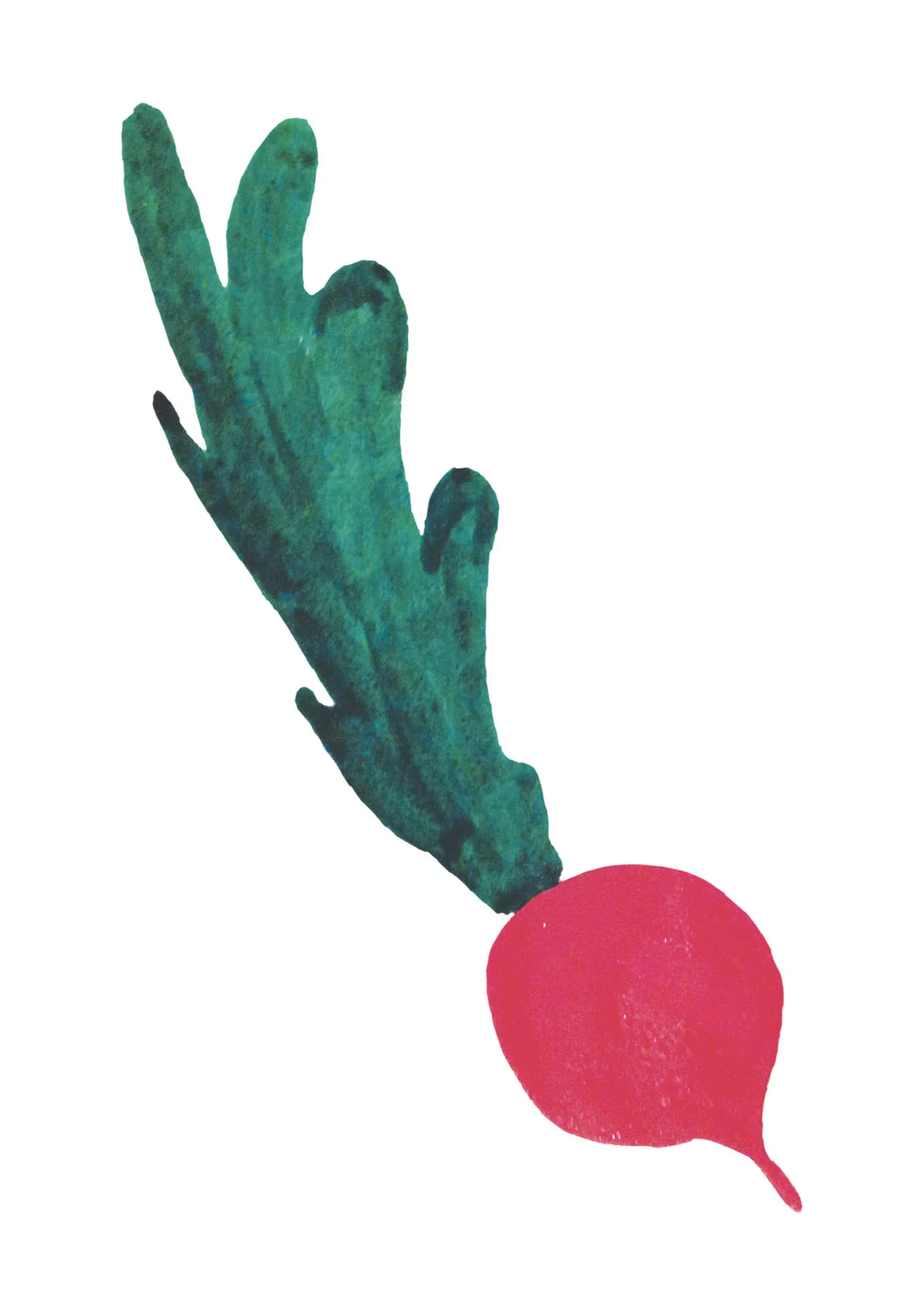 rabanetito.jpg