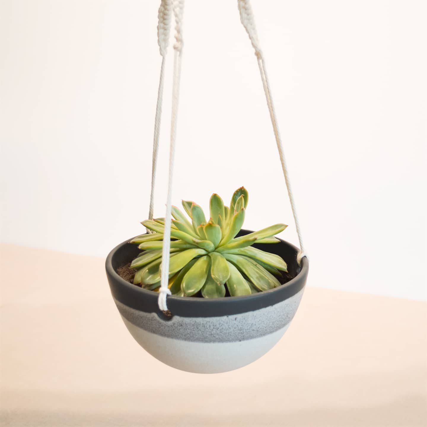 Hanging planter, decorated in our monochrome satin matte glazes.
Love hanging plants in the window, we've mostly filled ours with succulents and have some beautiful trailing varieties! 🪴 What plants do you have in your homes? 
-
#planter #hangingpla