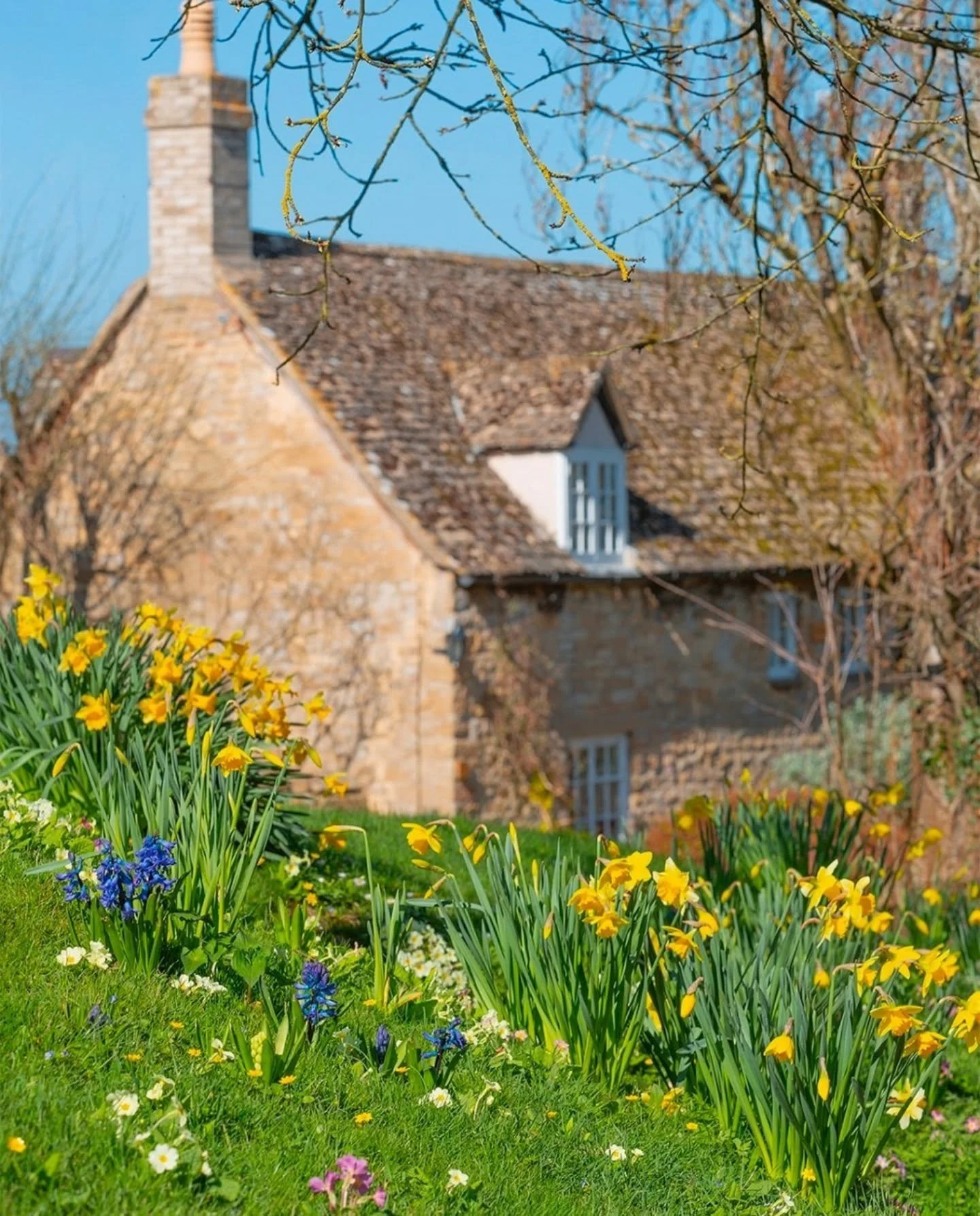 Hello, spring 🌿
The Spring Equinox brings longer days, lighter evenings, and nature reawakening.

There&rsquo;s something so magical about spring in the Cotswolds&hellip; we&rsquo;ve added new workshop dates so you can capture a little piece of it f