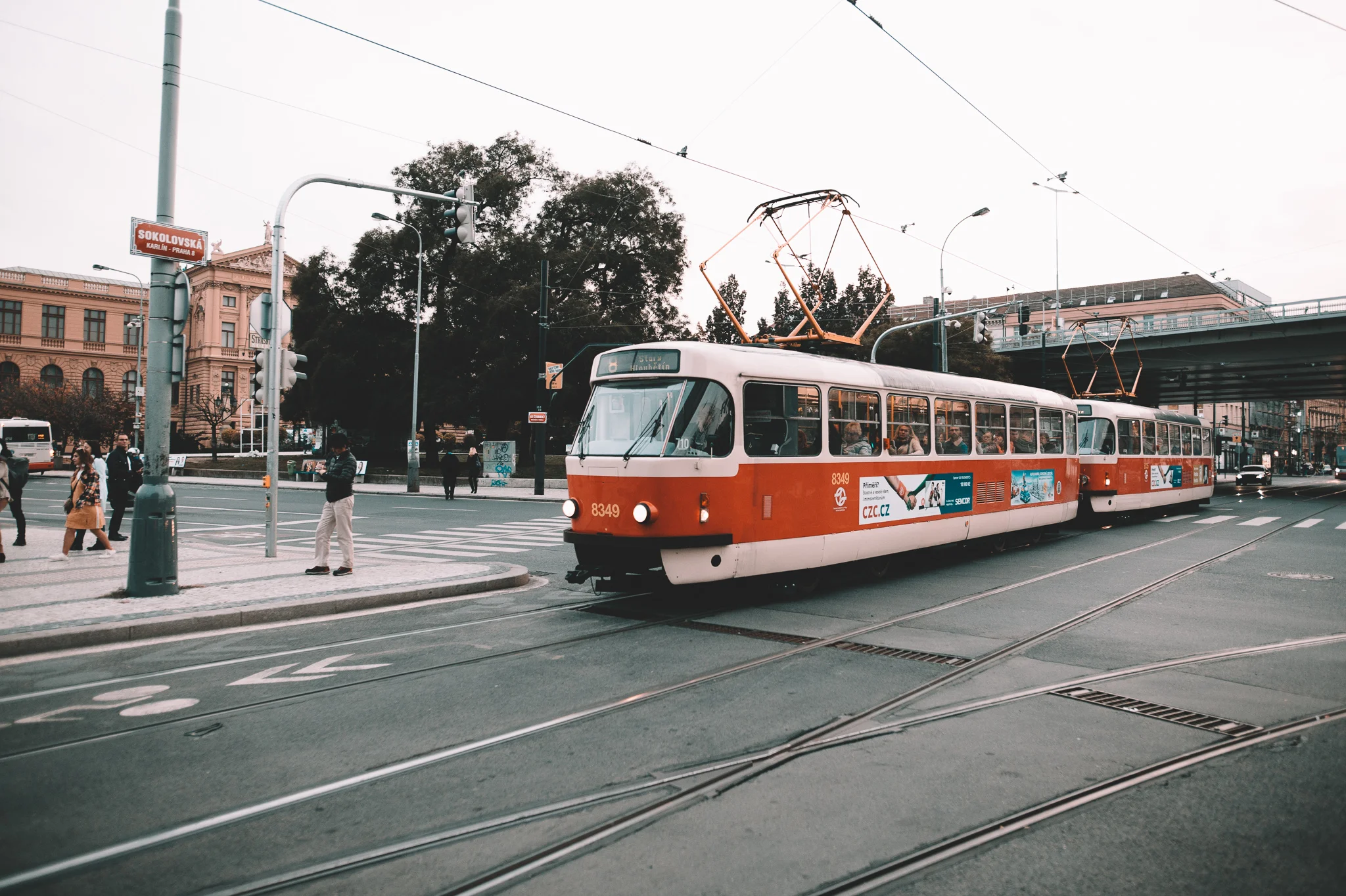 _MG_9043.jpg