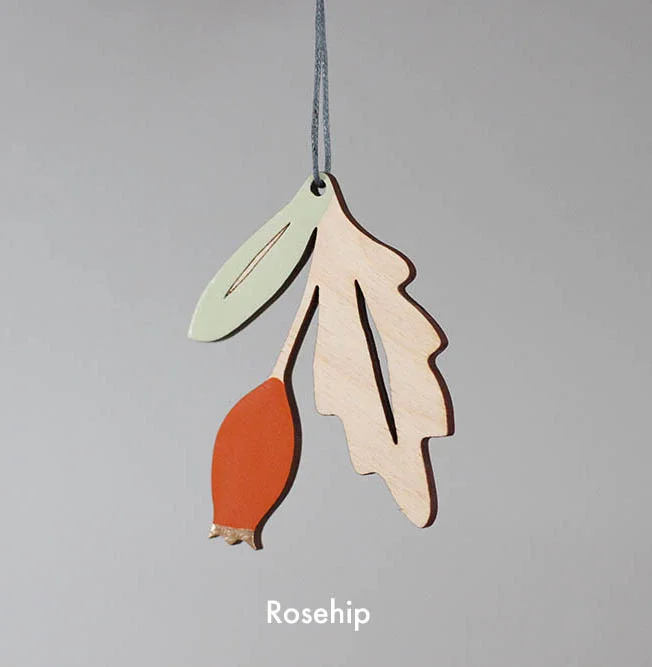 text-anna-wiscombe-christmas-rosehip-2.jpg