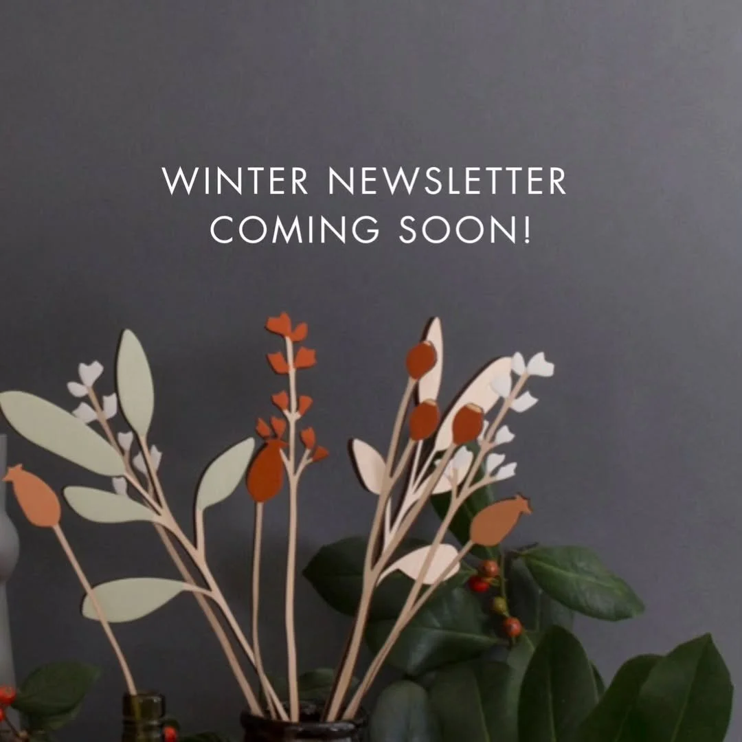 My Winter newsletter is coming tomorrow. Full of festive inspiration, gift ideas and a little update on 2025.
If you're not already subscribed, sign up by midday tomorrow to receive it and it will be dropping into your inbox for a relaxing bit of ear