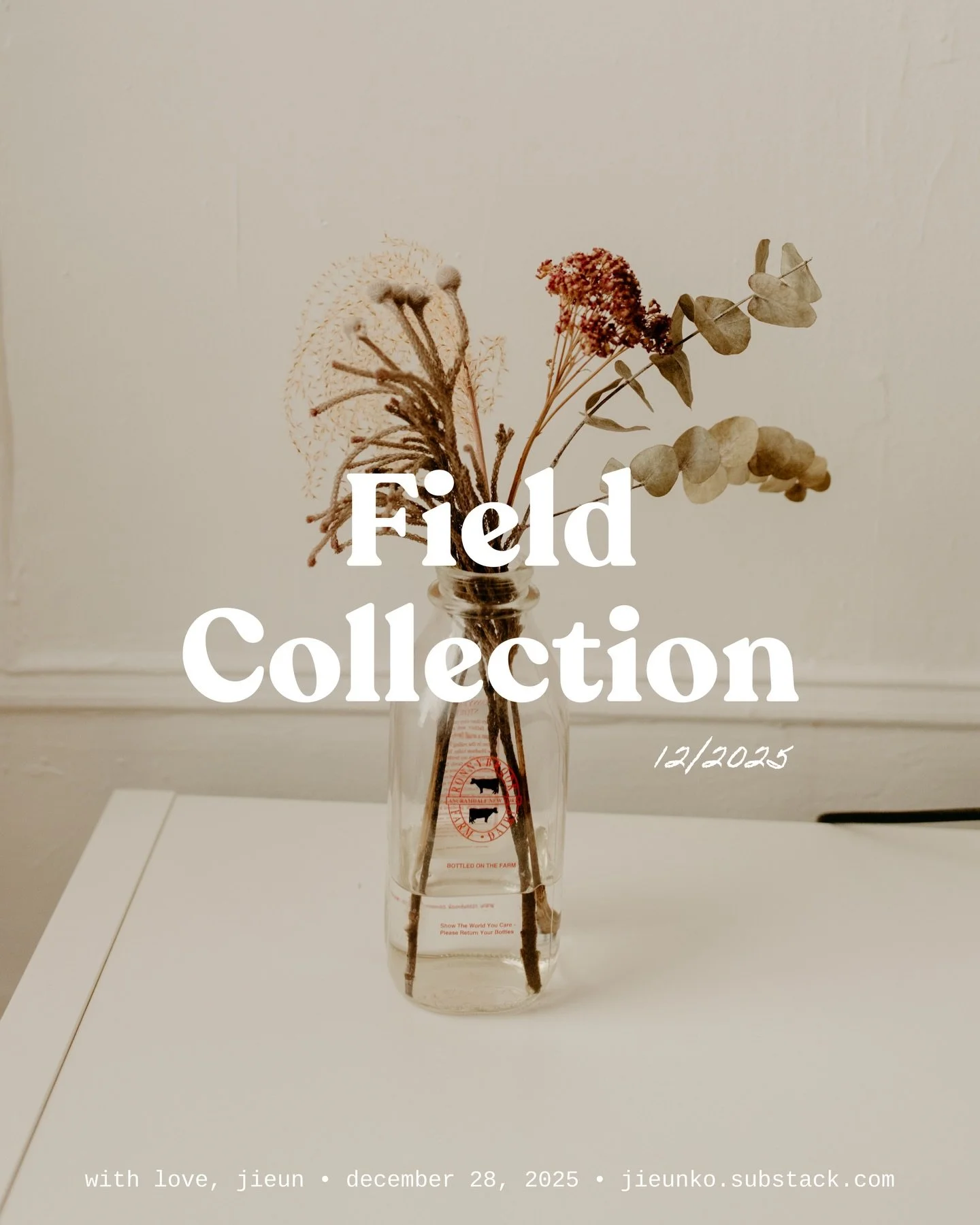 FIELD COLLECTION 12/2025 🌾 I&rsquo;m starting a writing series called Field Collection. It&rsquo;s a collection of beautiful things I saw, heard, and experienced, that inspired me to create my own art &mdash; quotes, art, poetry, writing, music, fil
