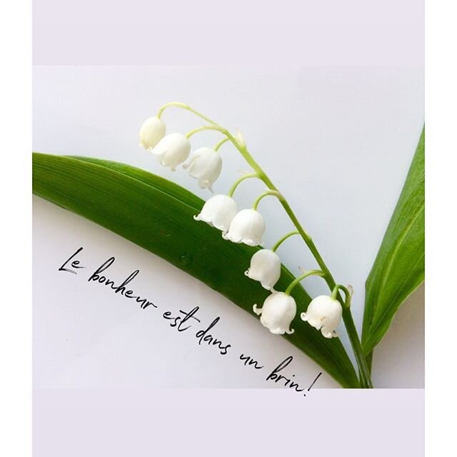 Une belle pens&eacute;e en ce premier mai! #1ermai #muguet #bonheur#hotel#alsace #alsacemylove #selestat #basrhin #toutlebasrhin #fleur#fleurs#flowers #floweroftheday #fleurdujour