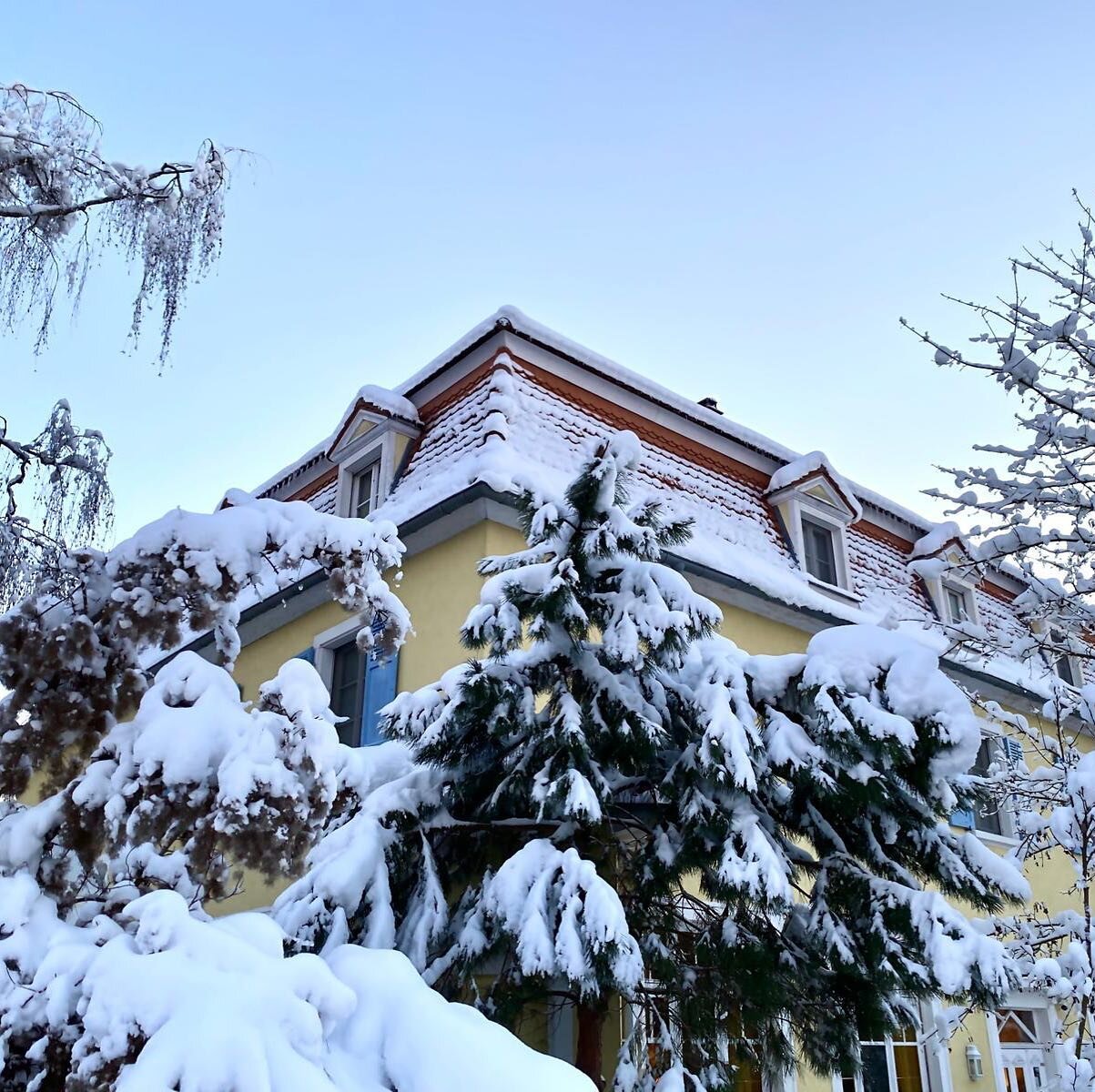 Une autre vue! ⛄️#hotel#hotelalsace #walkinginthesnow #wonderland #myhotel #hoteldecharme #hotels #alsace #alsacetourisme #walkinginawinterwonderland #whatisee #snowday #hotelsoffrance #photography #photooftheday #fridaymood