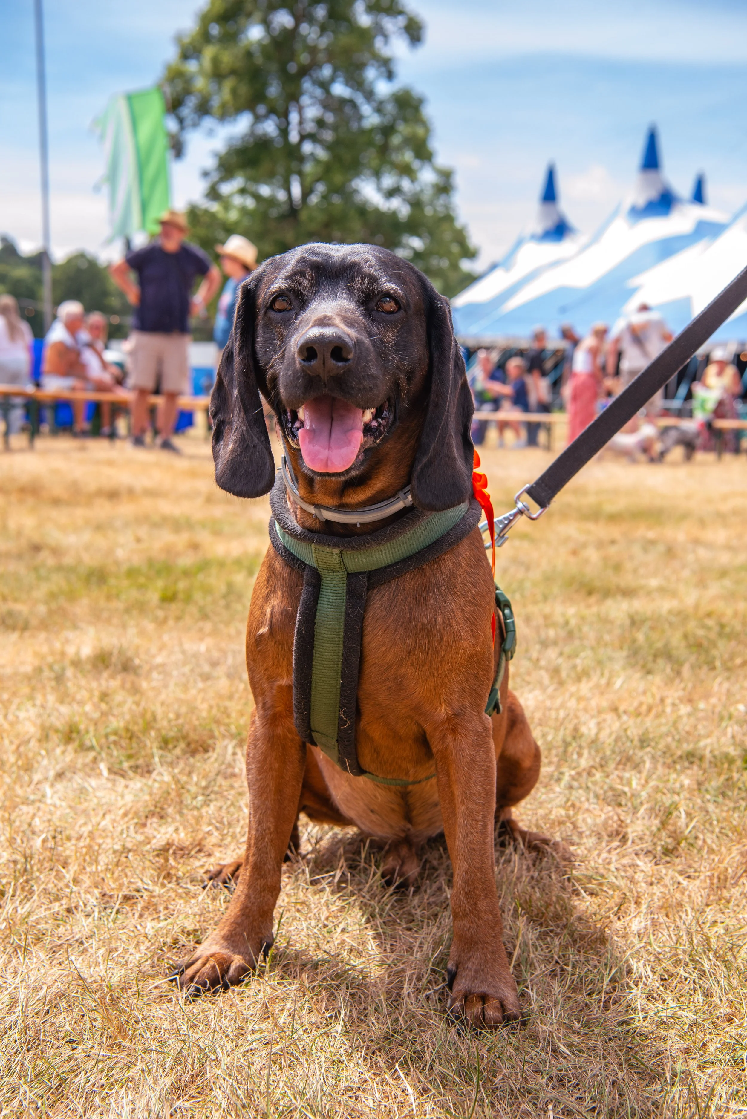 Sunday_Camper_Jam_2026_2324_Photography-98.jpg