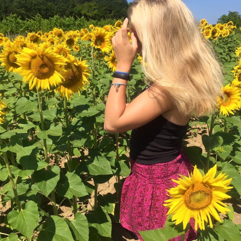 Sunflower French field