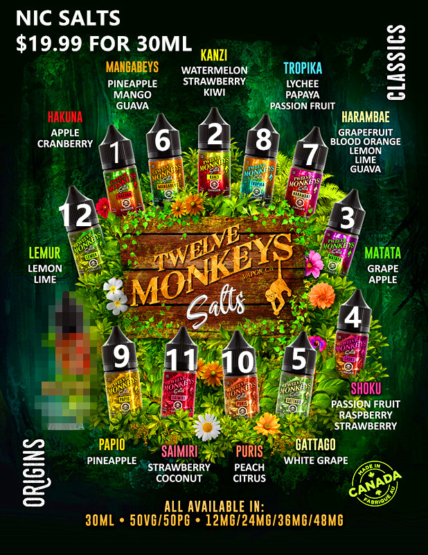 12 Monkeys Salts Flavour Menu - 8.5x11.jpg