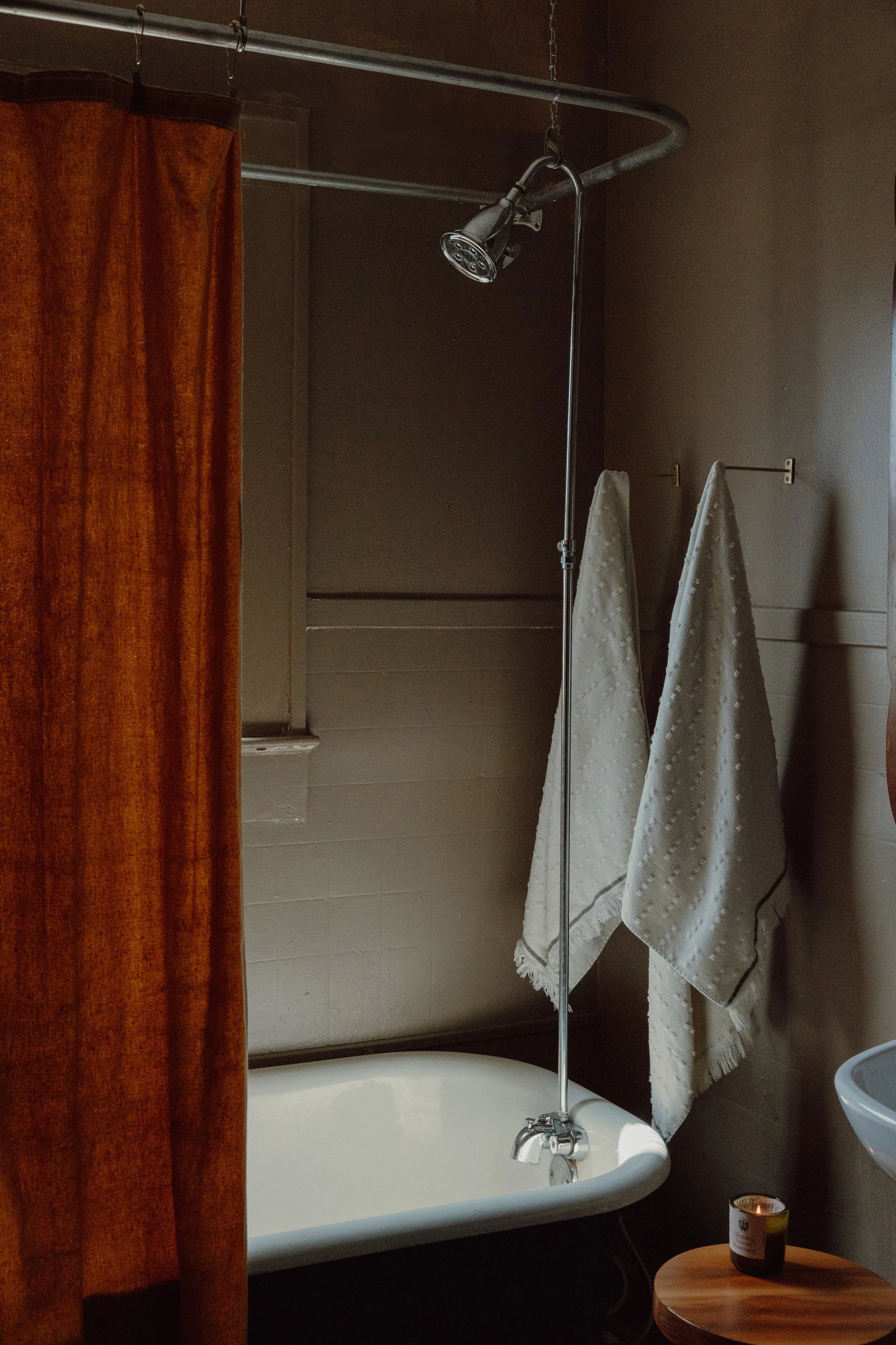 Stelly-Selway-Brooke-Schwab-Austin-Baylor-Street-Bathroom-2.jpg