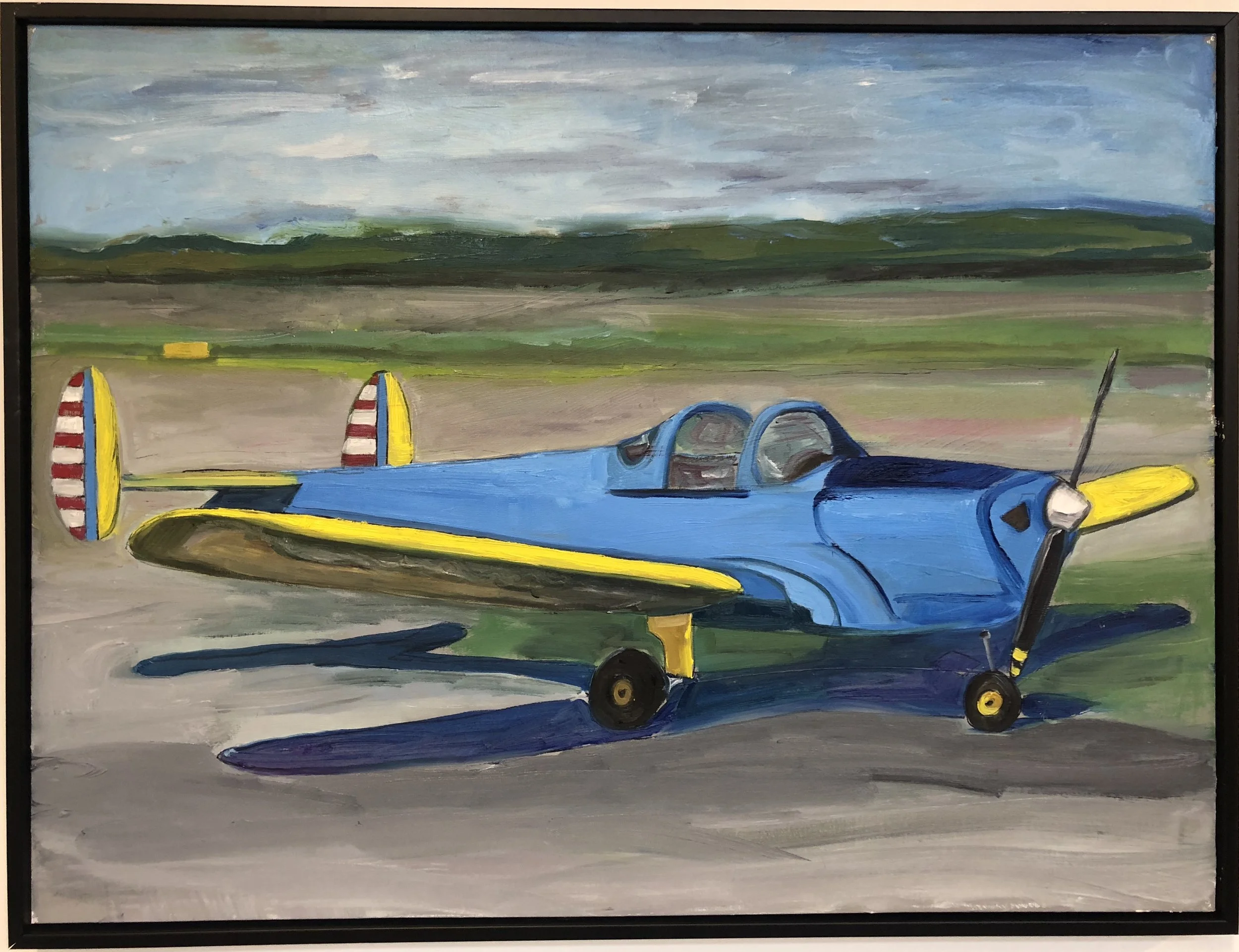 "ercoupe" 30 x 48