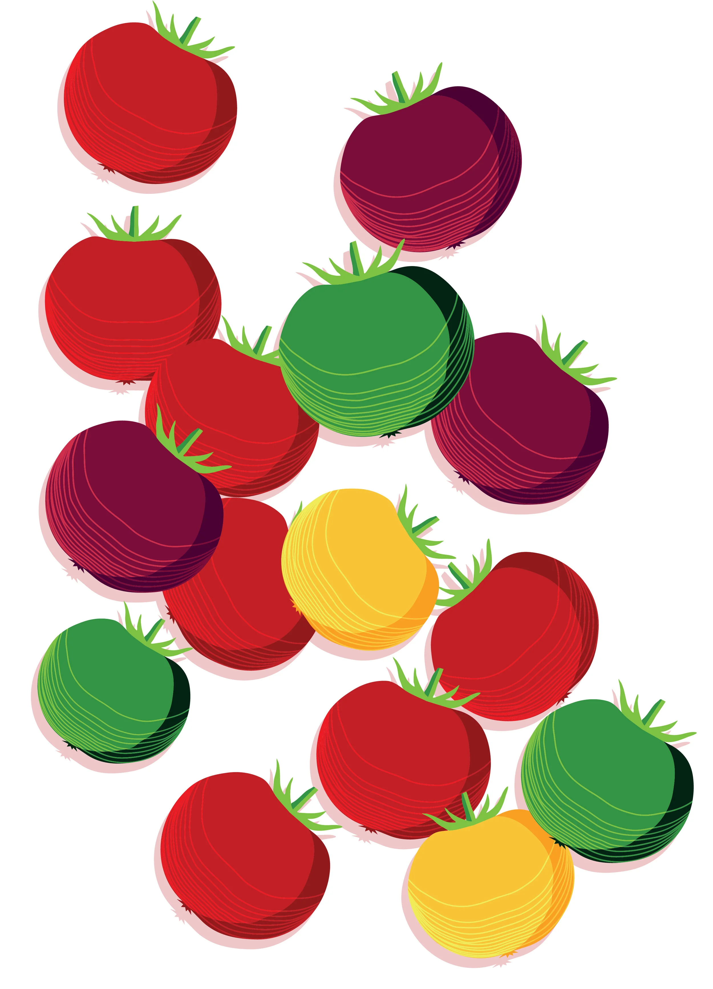 Sproutworks Illustrations-17.jpg