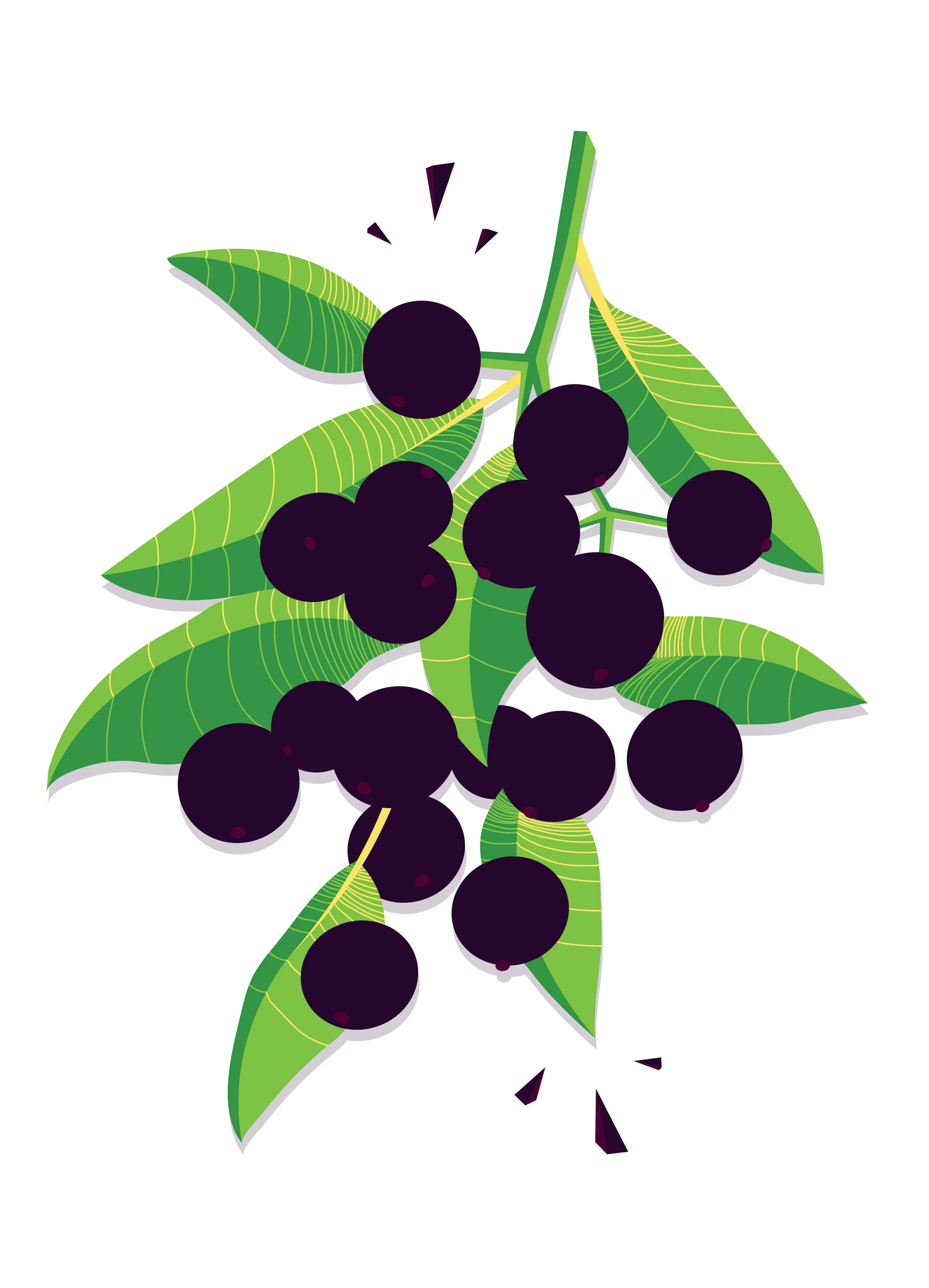 Sproutworks Illustrations-10.jpg