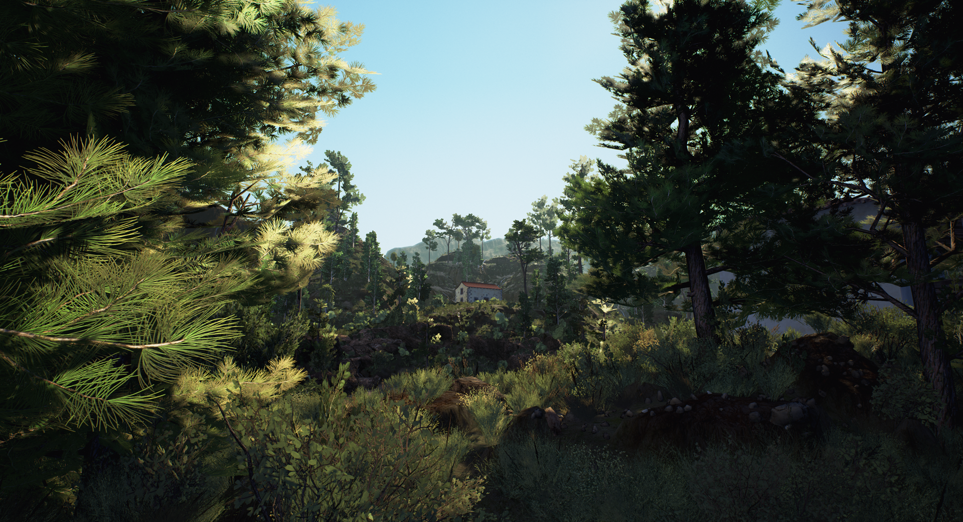 UE4 Env - Euro Fishing