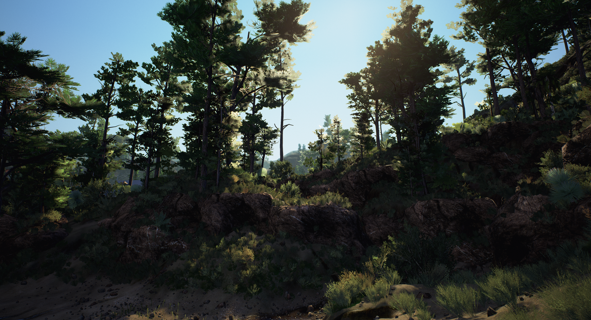 UE4 Env - Euro Fishing