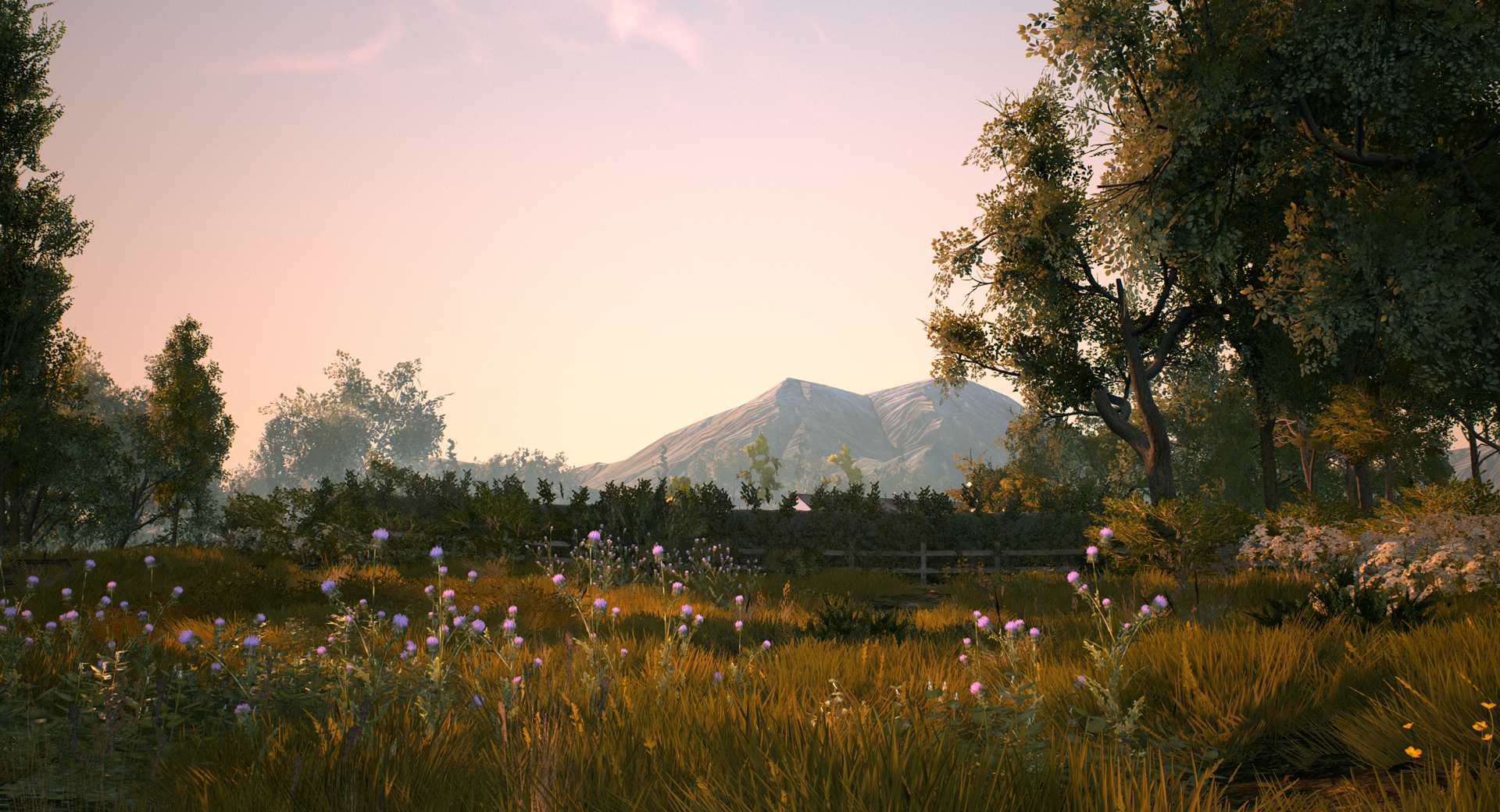 UE4 Env - Euro Fishing