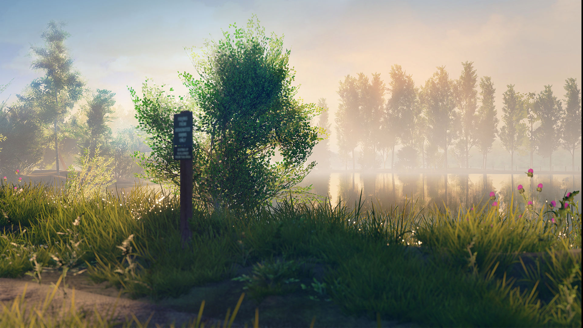 UE4 Env - Euro Fishing