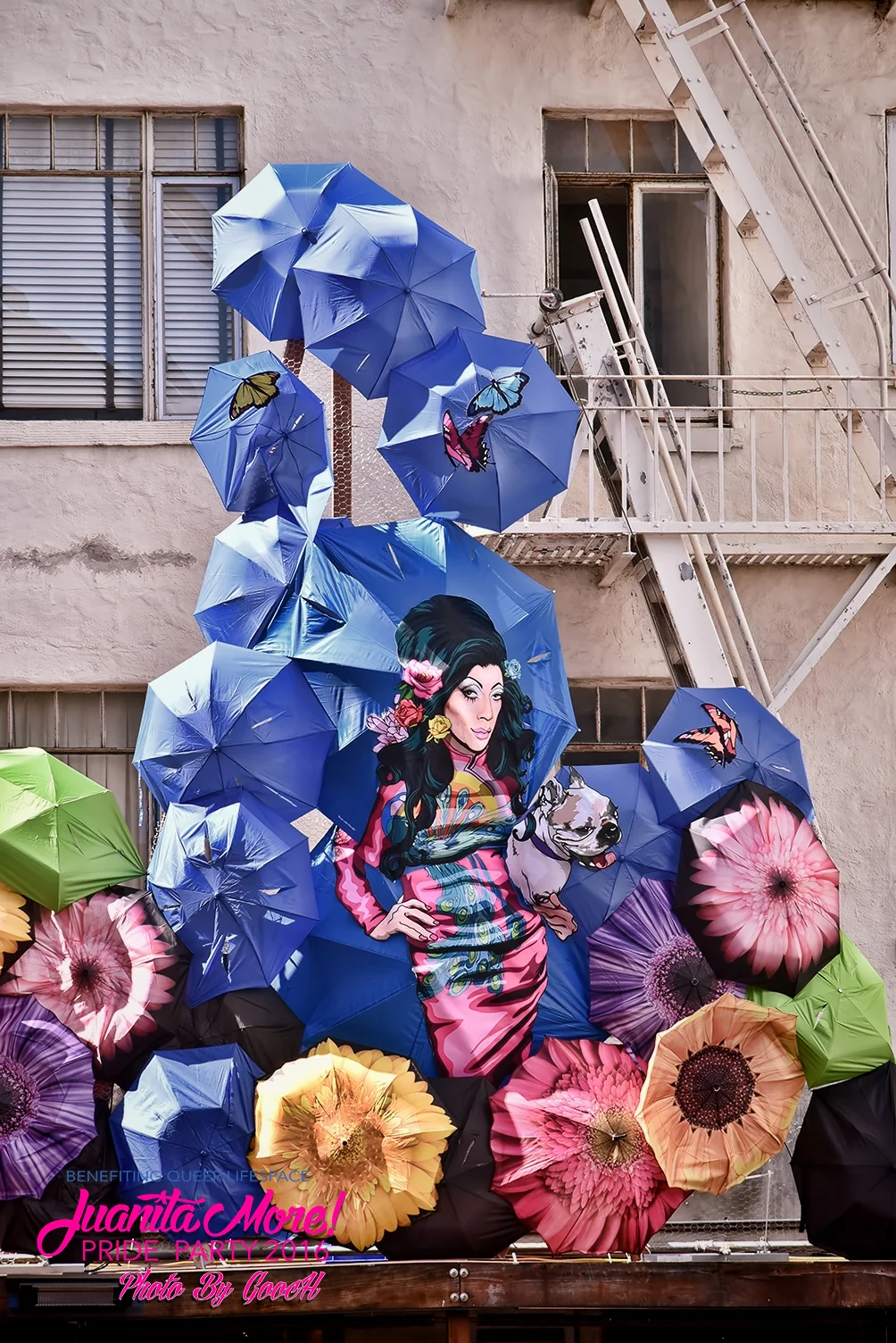 DSC_2769.jpg