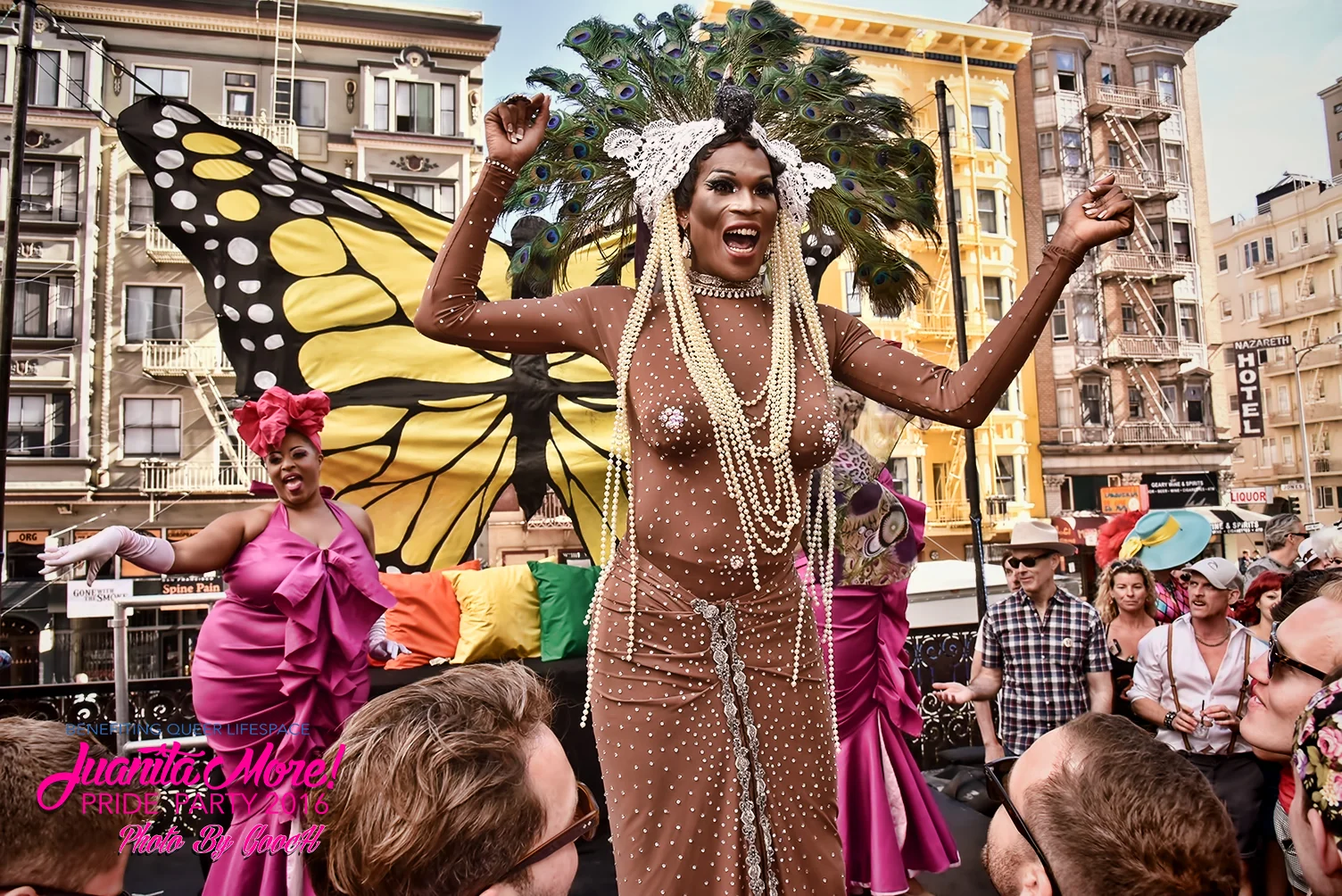 DSC_3317.jpg