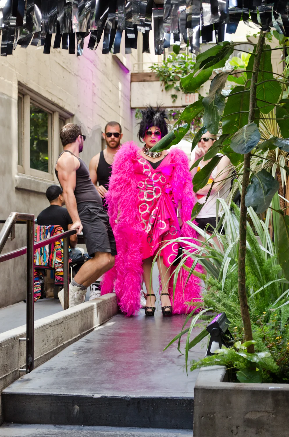 DSC_7433.jpg