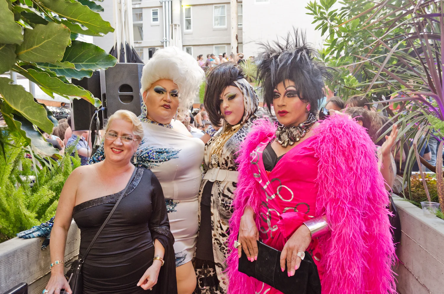 DSC_7595.jpg
