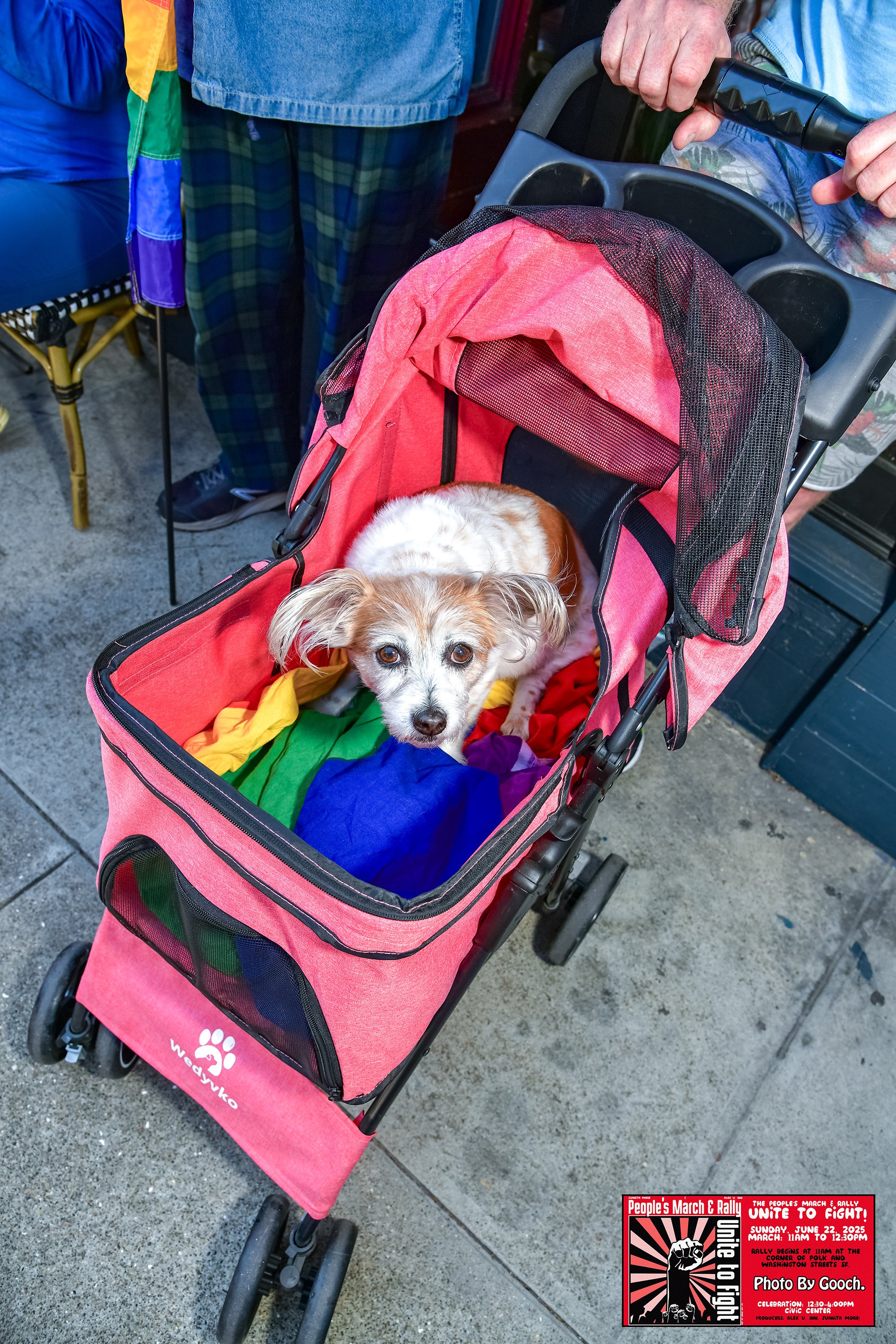 DSC_1584.jpg