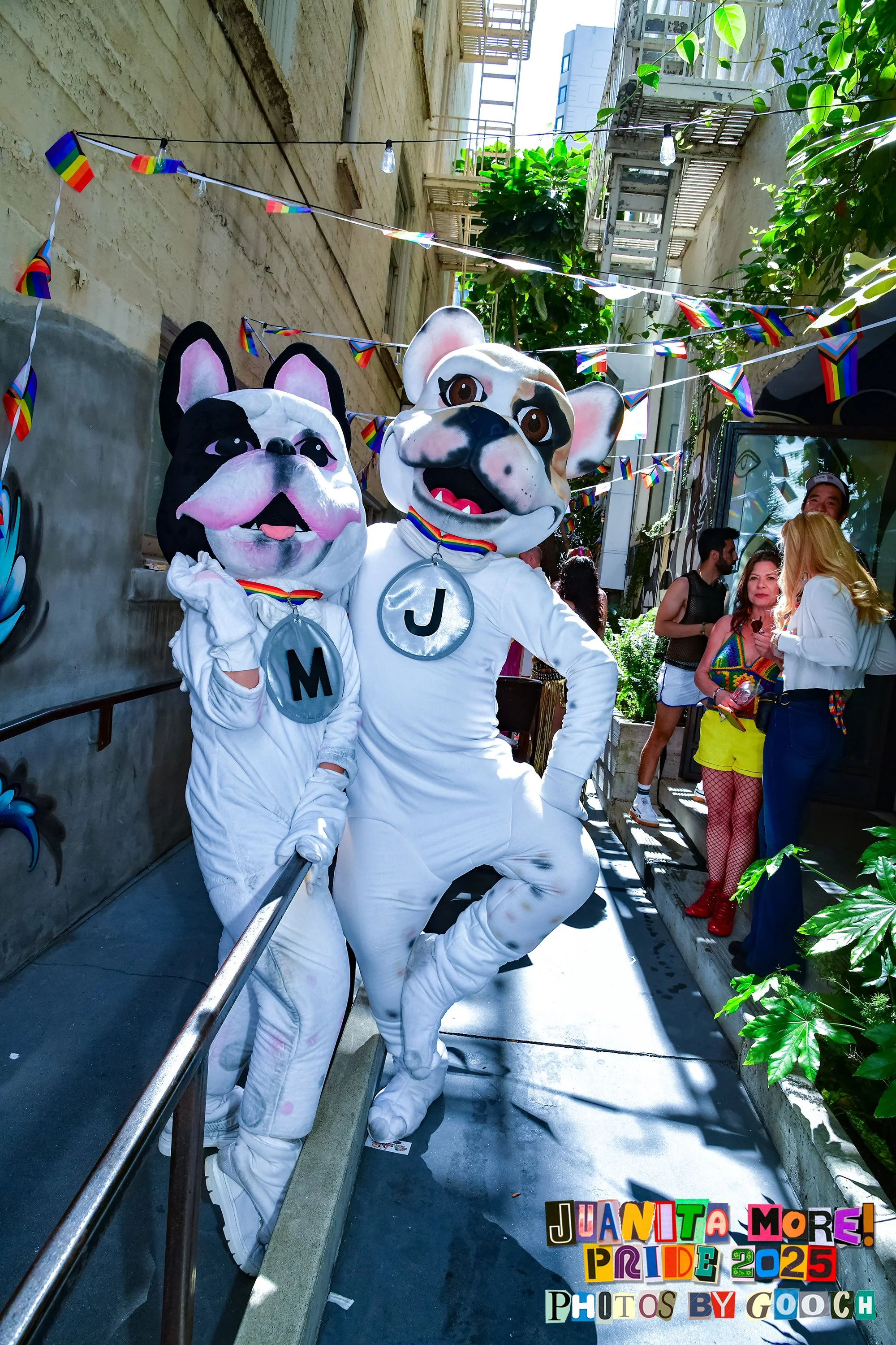 DSC_2066.jpg