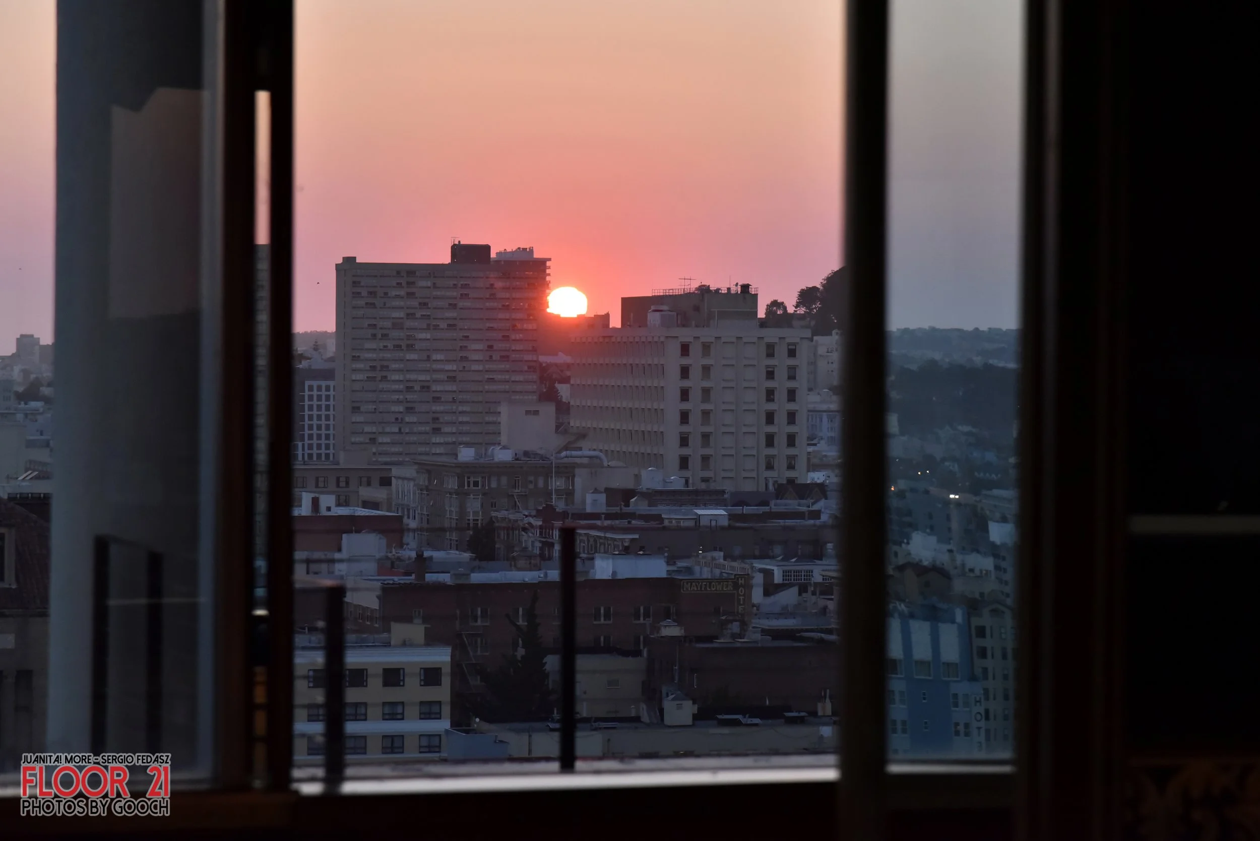 DSC_2020.jpg