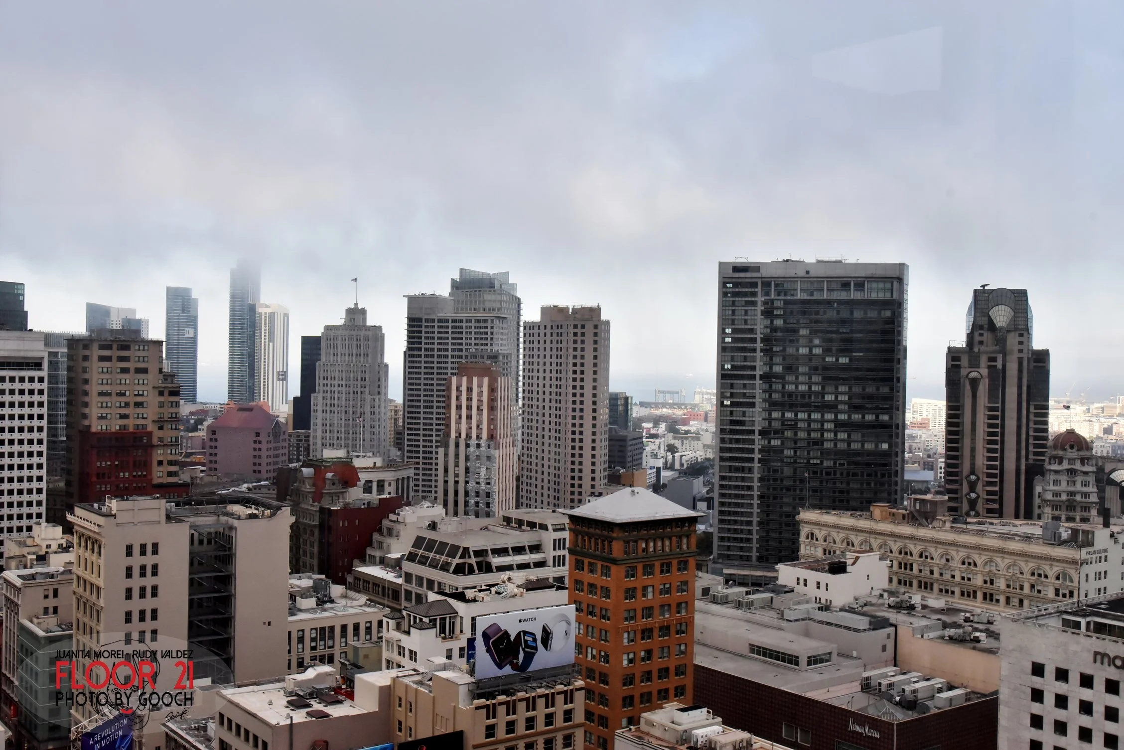 DSC_3597.jpg