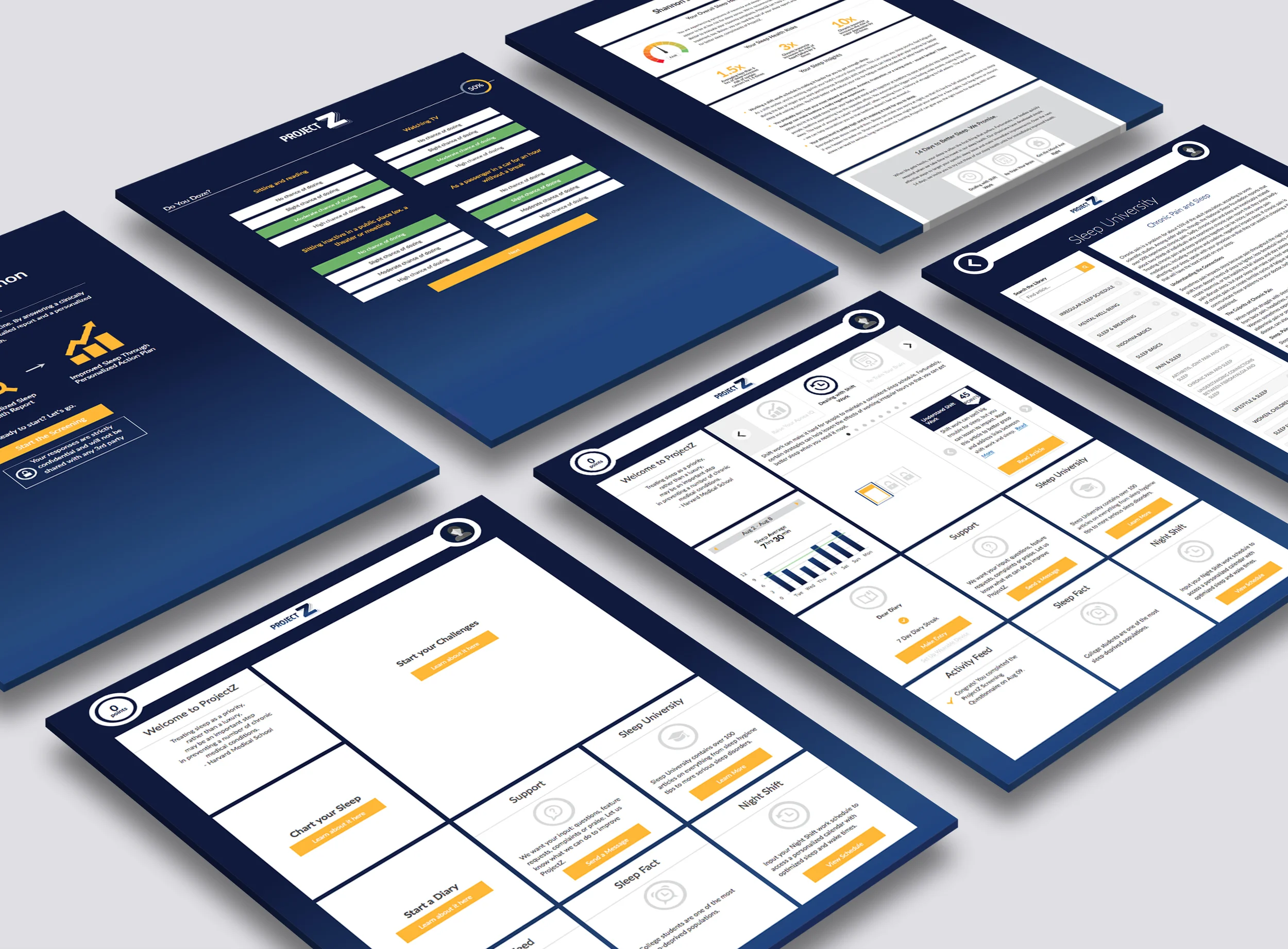 Web Dispay ProjectZ 8.9.jpg