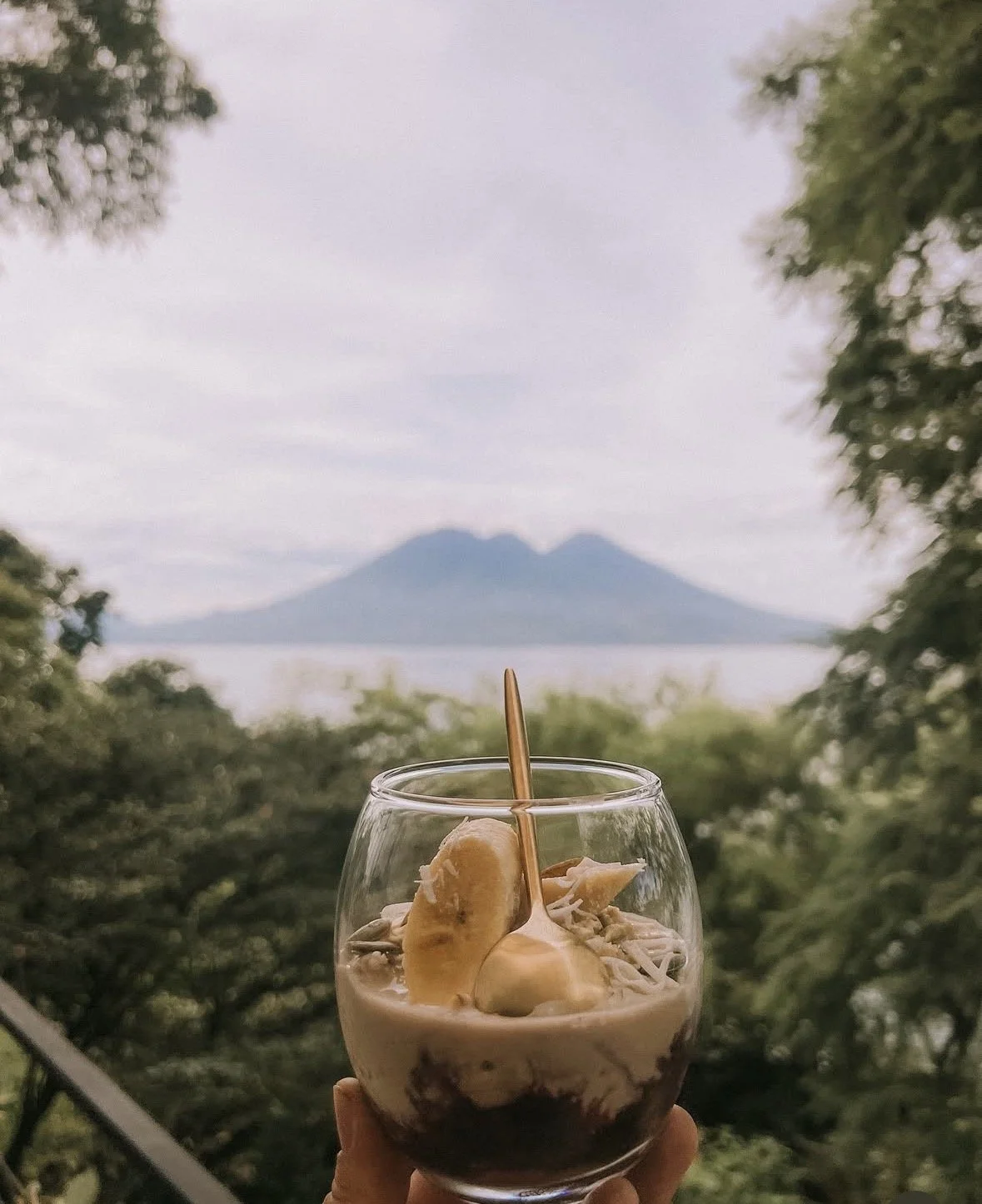 smoothie cup lake view.jpg