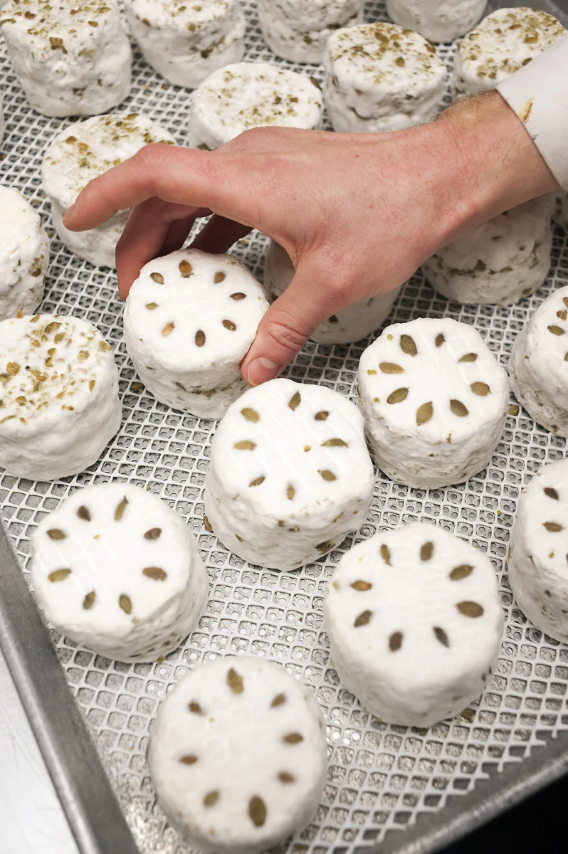 cheese-wheels.jpg