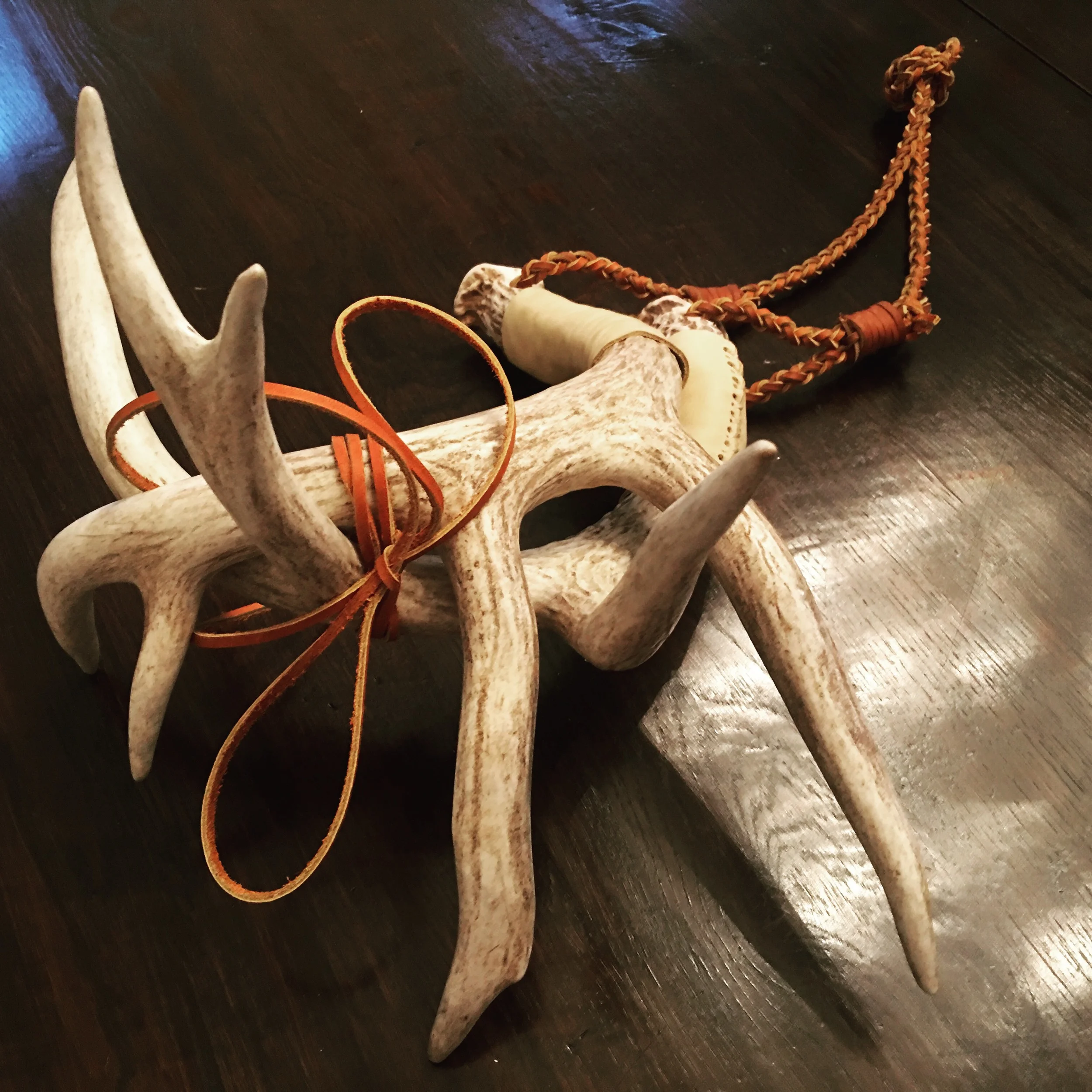 Horn Gallery — South Texas Bangers