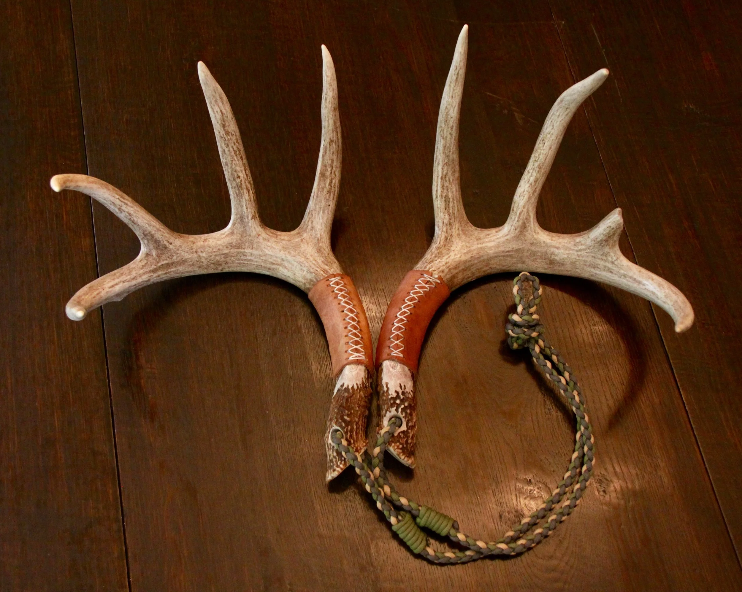 Horn Gallery — South Texas Bangers