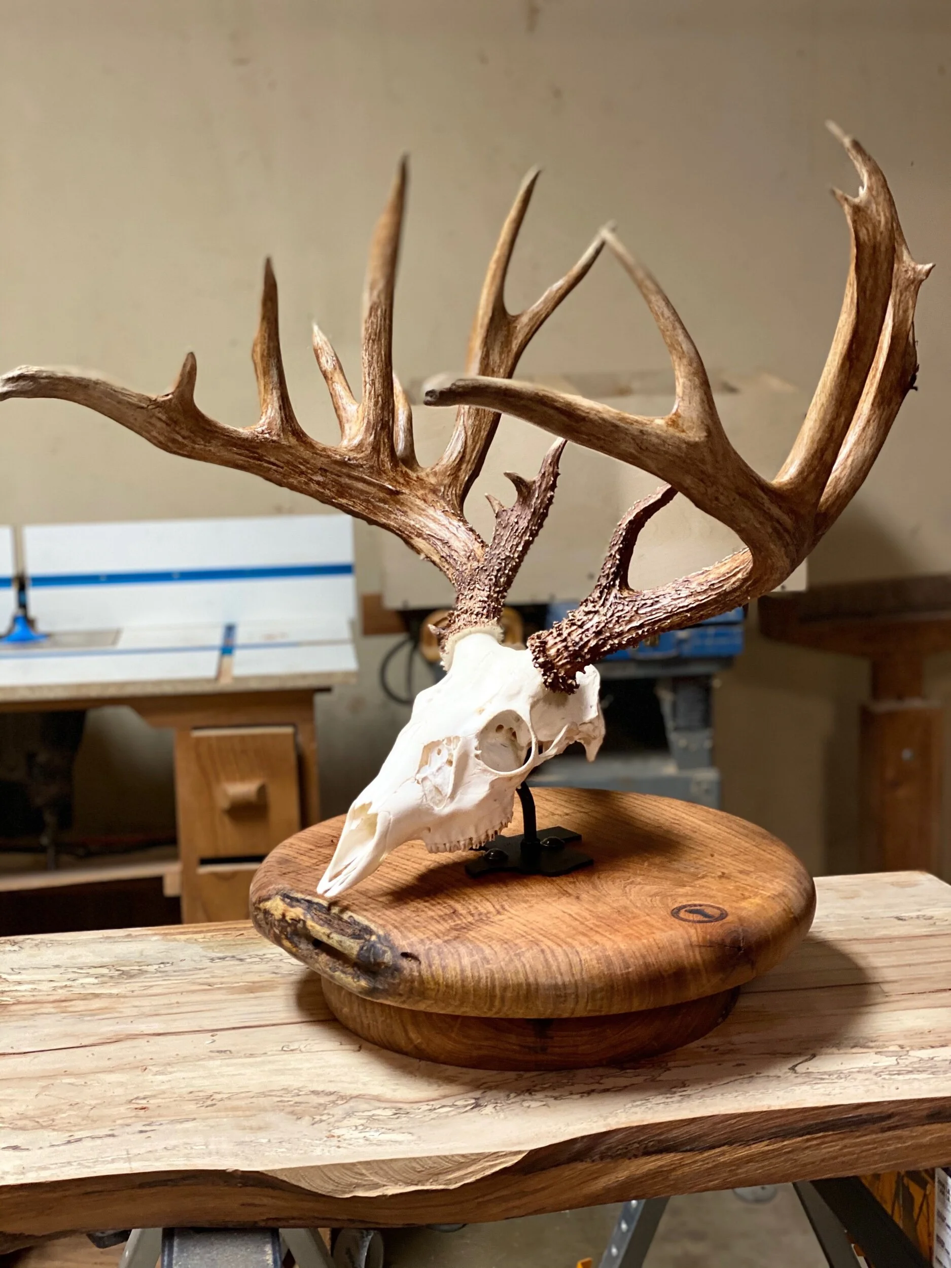 CCD34737-84AF-416E-922C-D75286510132