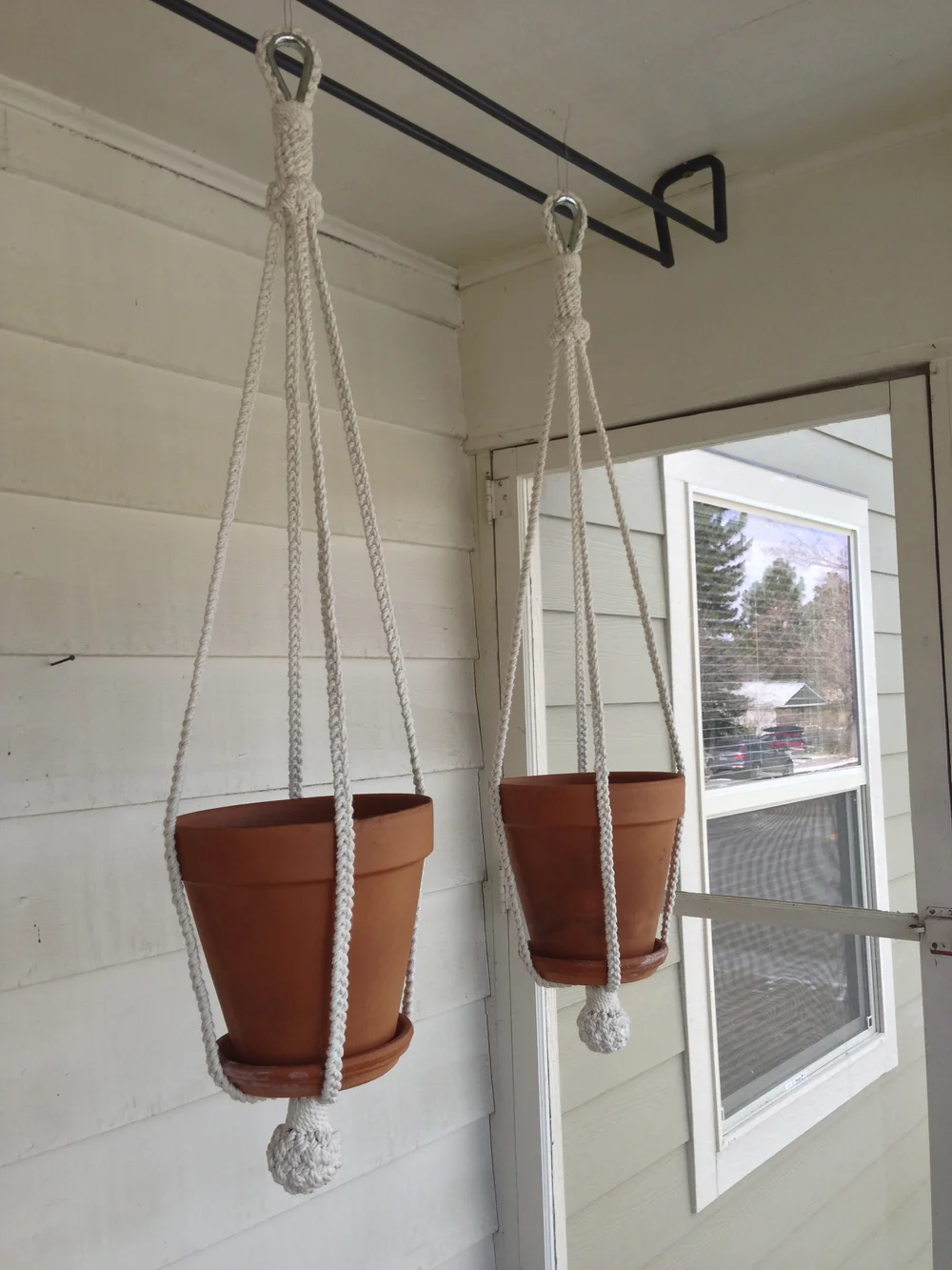 best pots for philodendron Philodendron Gloriosum