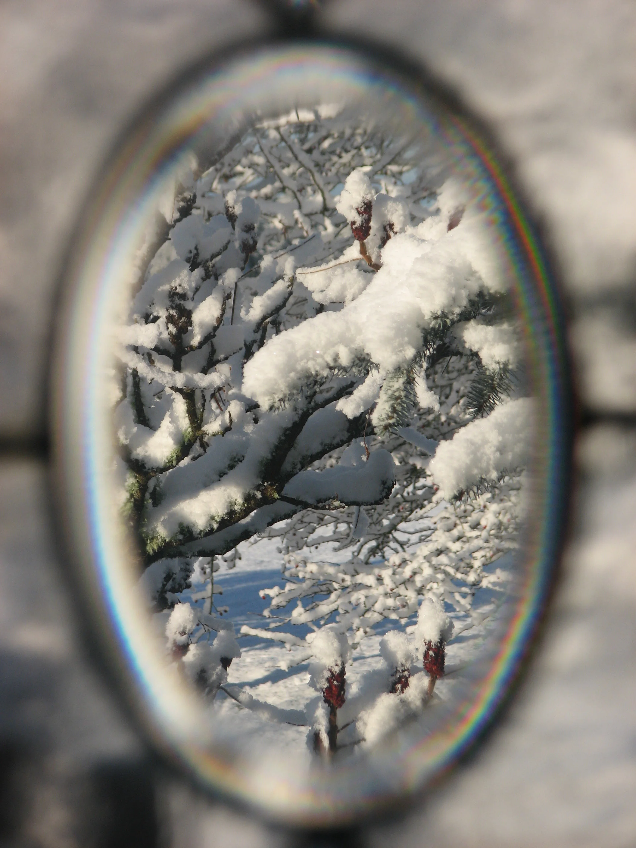 Snow globe