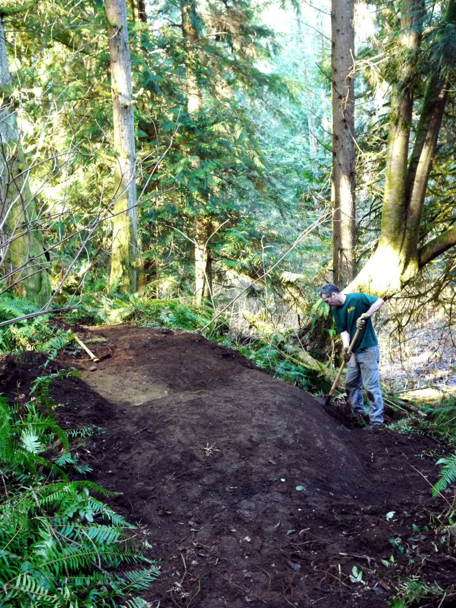 Amazing discovery of sandy stone on the re-route at the Tree Farm. Baby trails need lots of TLC.