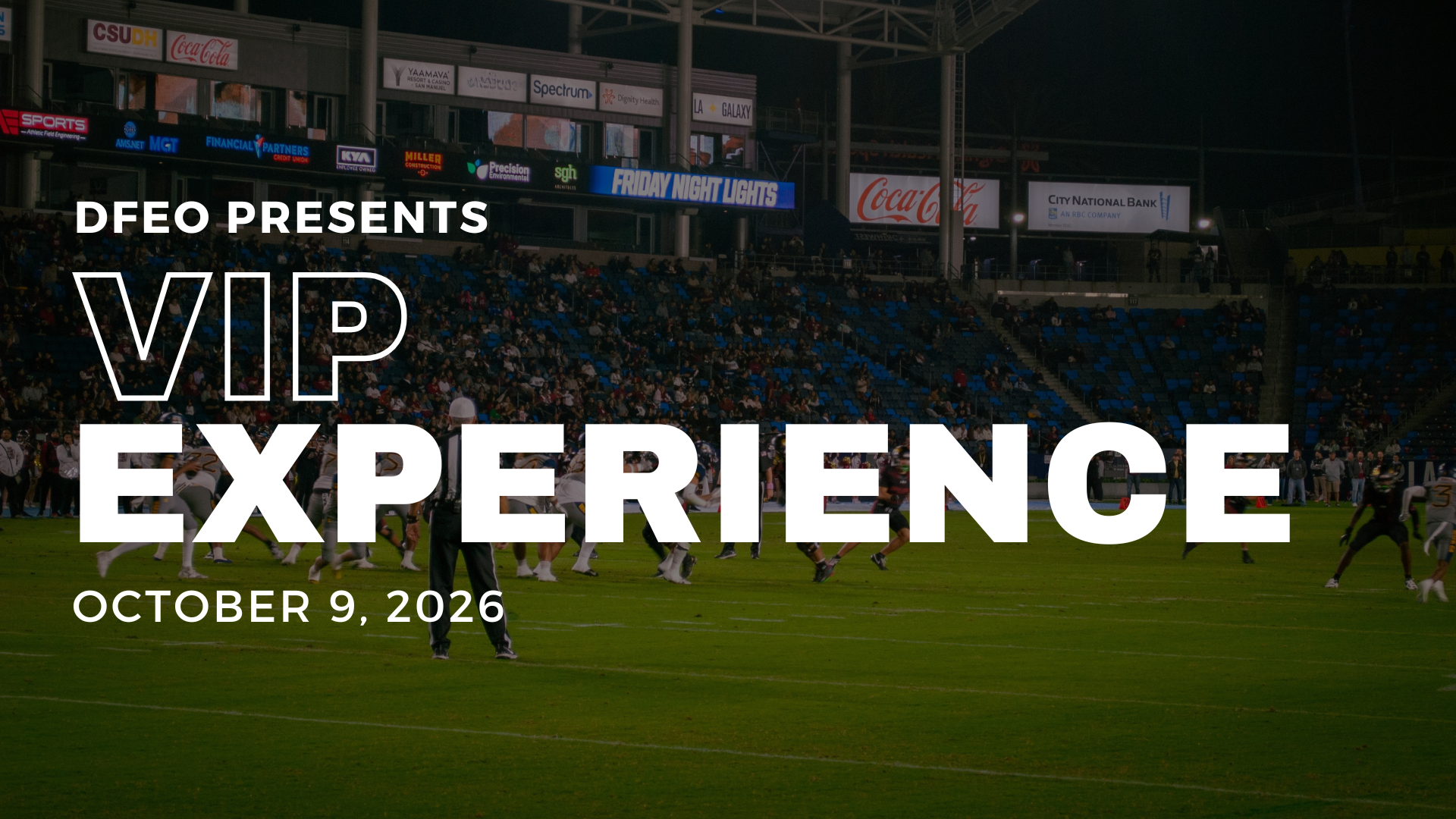 2026 VIP Experience