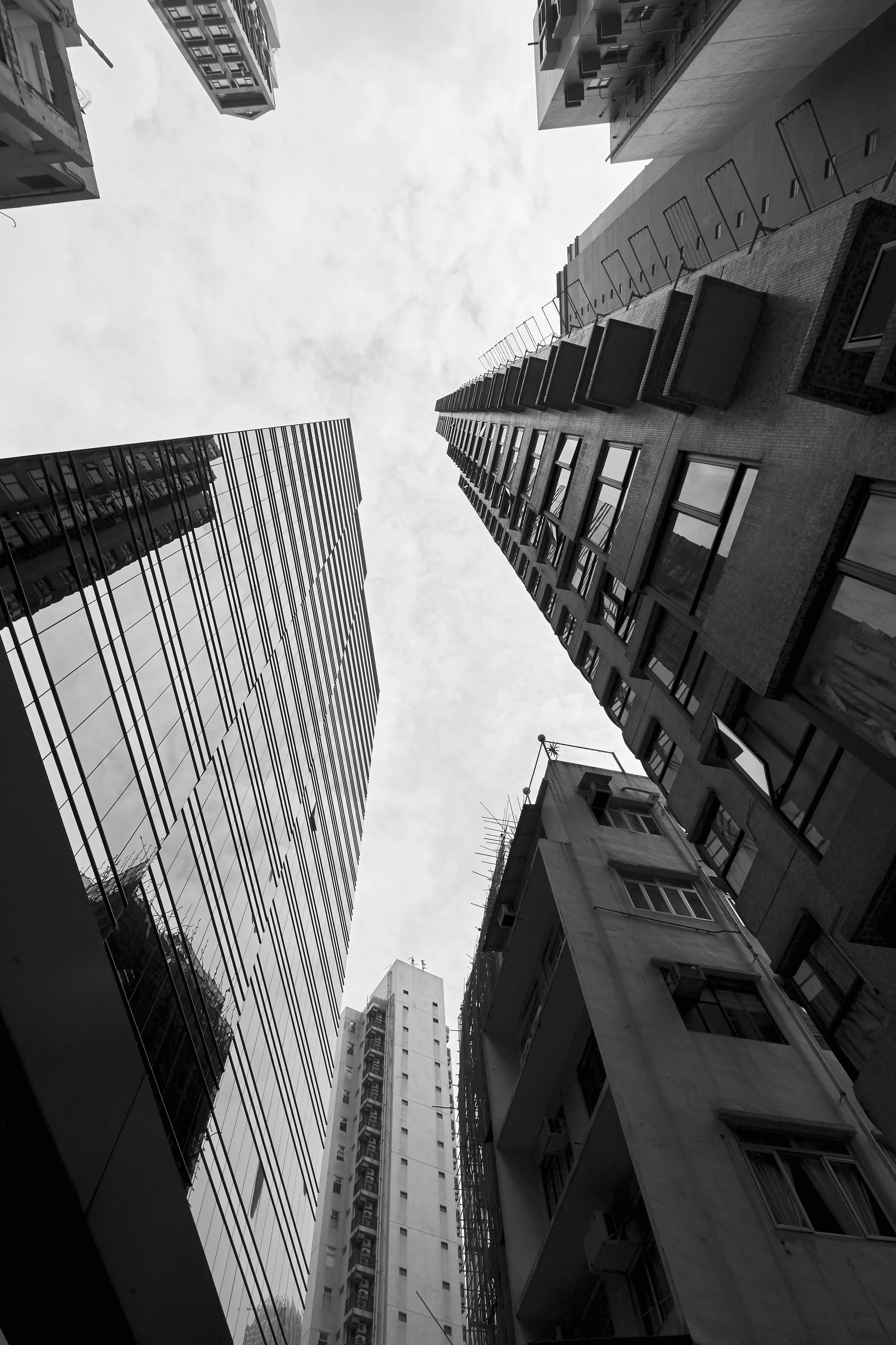 20061127_hongkong_1233RD.jpg