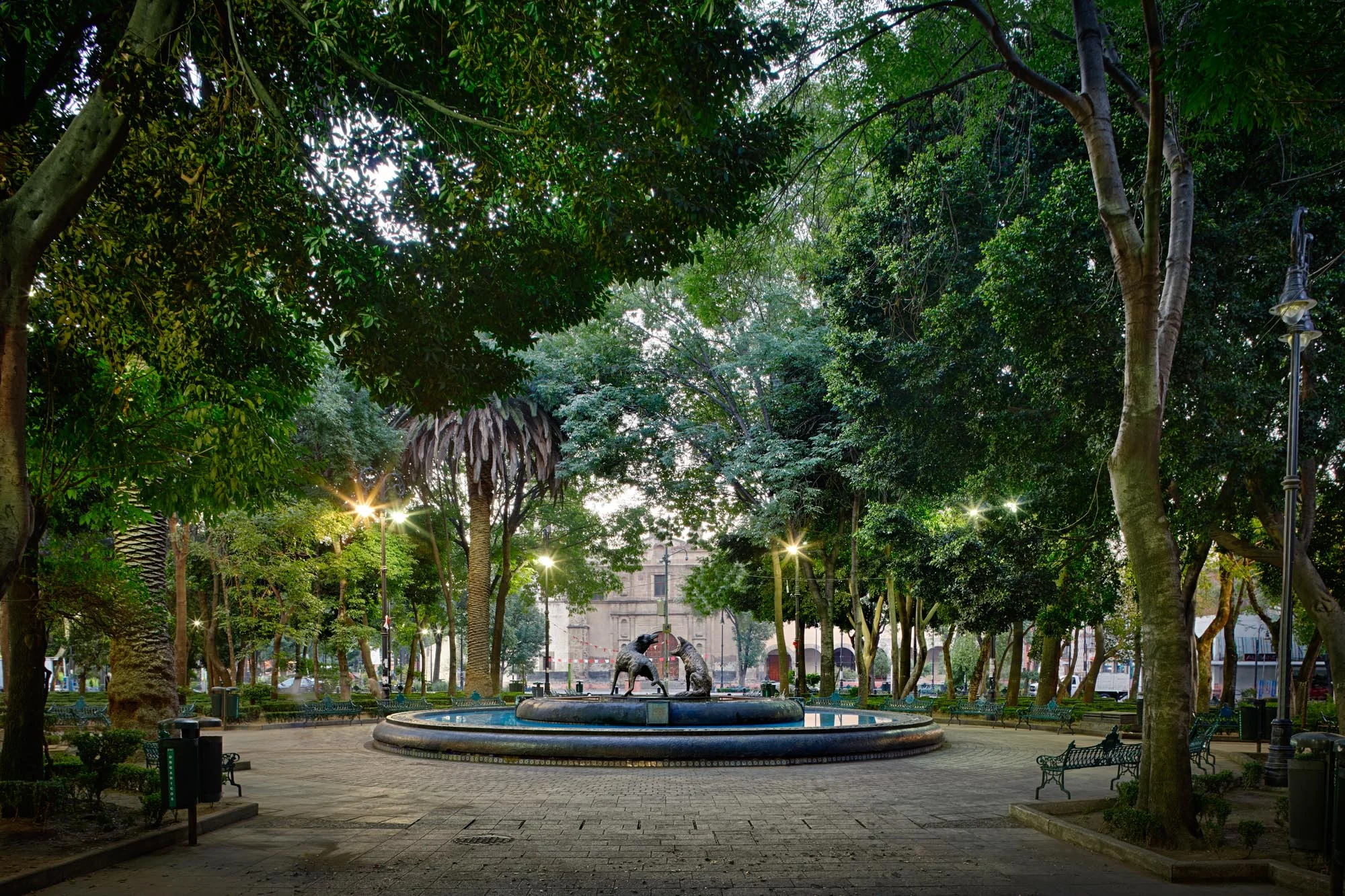 20130331-072846_coyoacan_0937.jpg