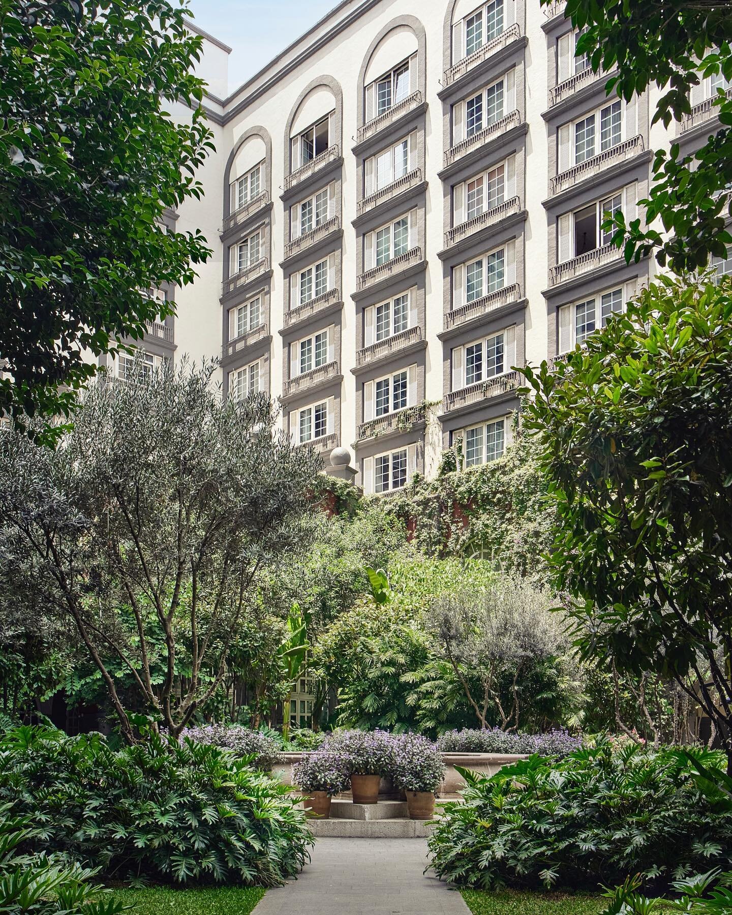 Green 🌱@fsmexico #EdgardoContrerasPhotography 
.
.
.
.
.
#hotelphotography #hotelphotographer #luxuryhotel #architecture #architecturephotography #courtyardgarden #courtyard #garden #green #hotel #cityhotel #mexicocity #fountain