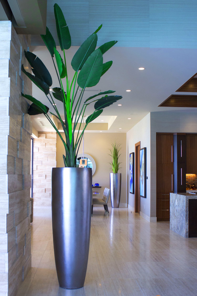 Greenery In The Home 1 Afm_Gribble_House_66.Jpg