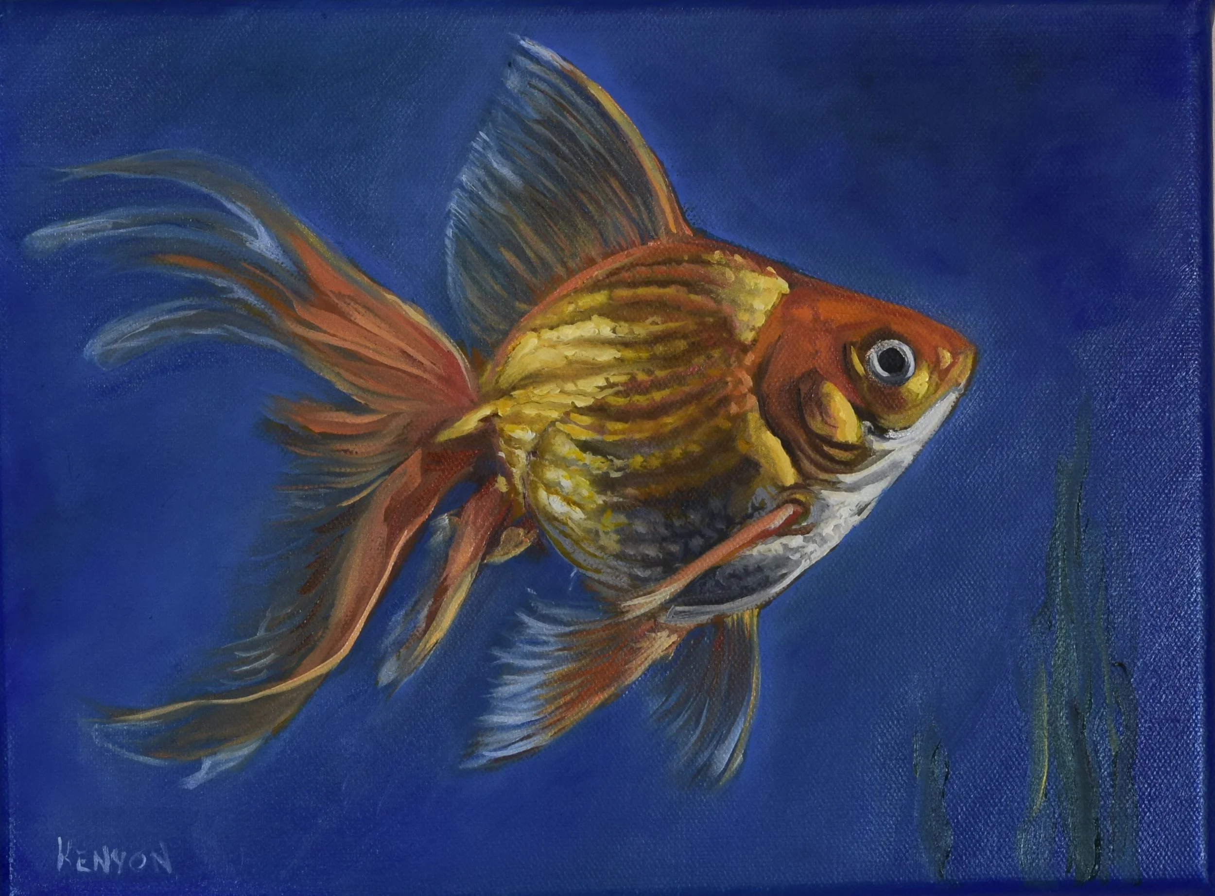 goldfish2.jpg