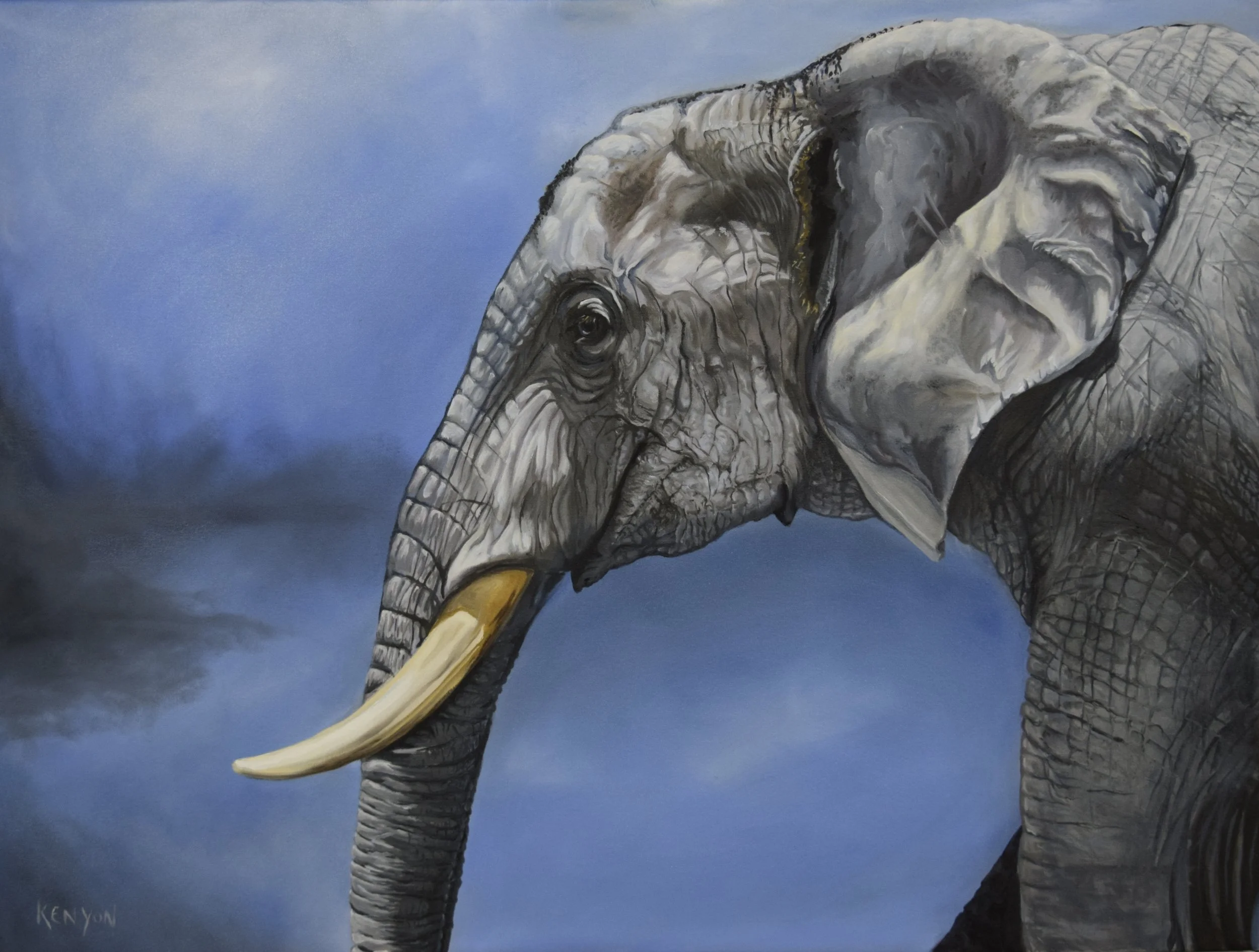 elephant 40 x 30.jpg