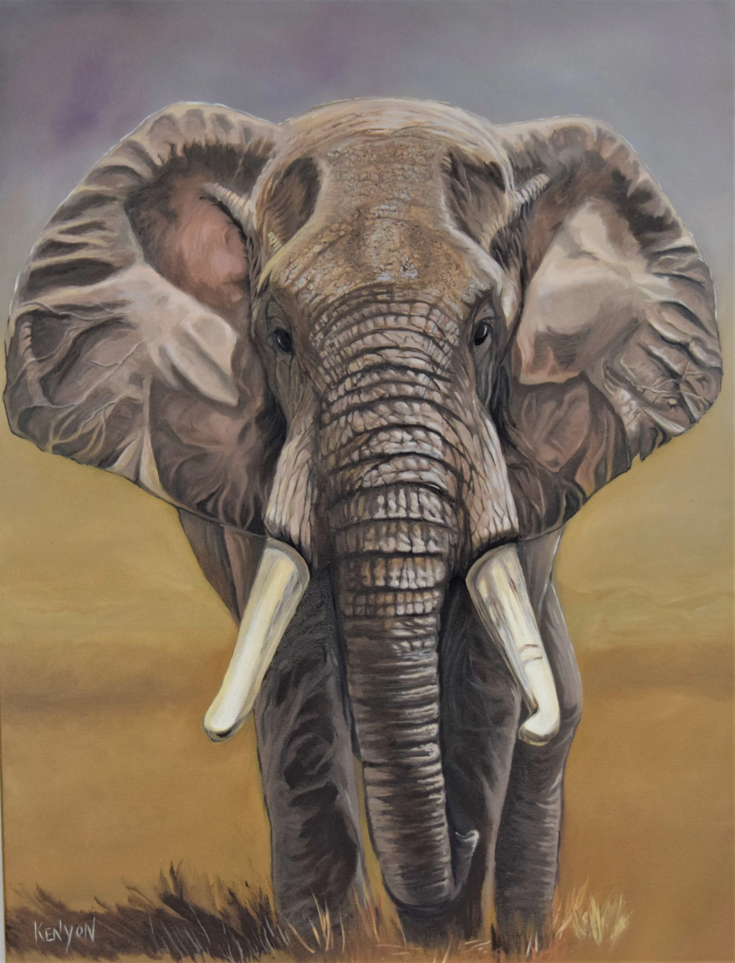5. The Elephant forward 30 x 40.jpg